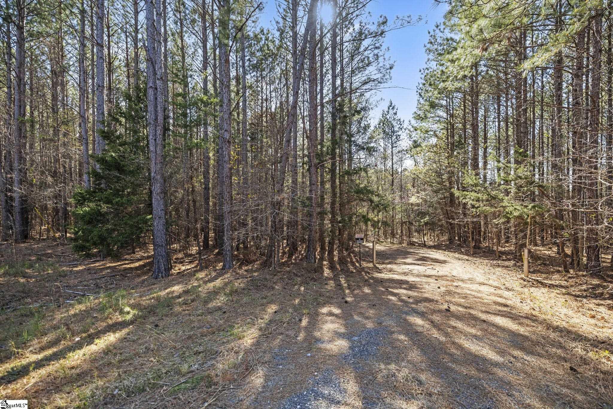 1073a Boyd Mills Pond Road Property Photo 4