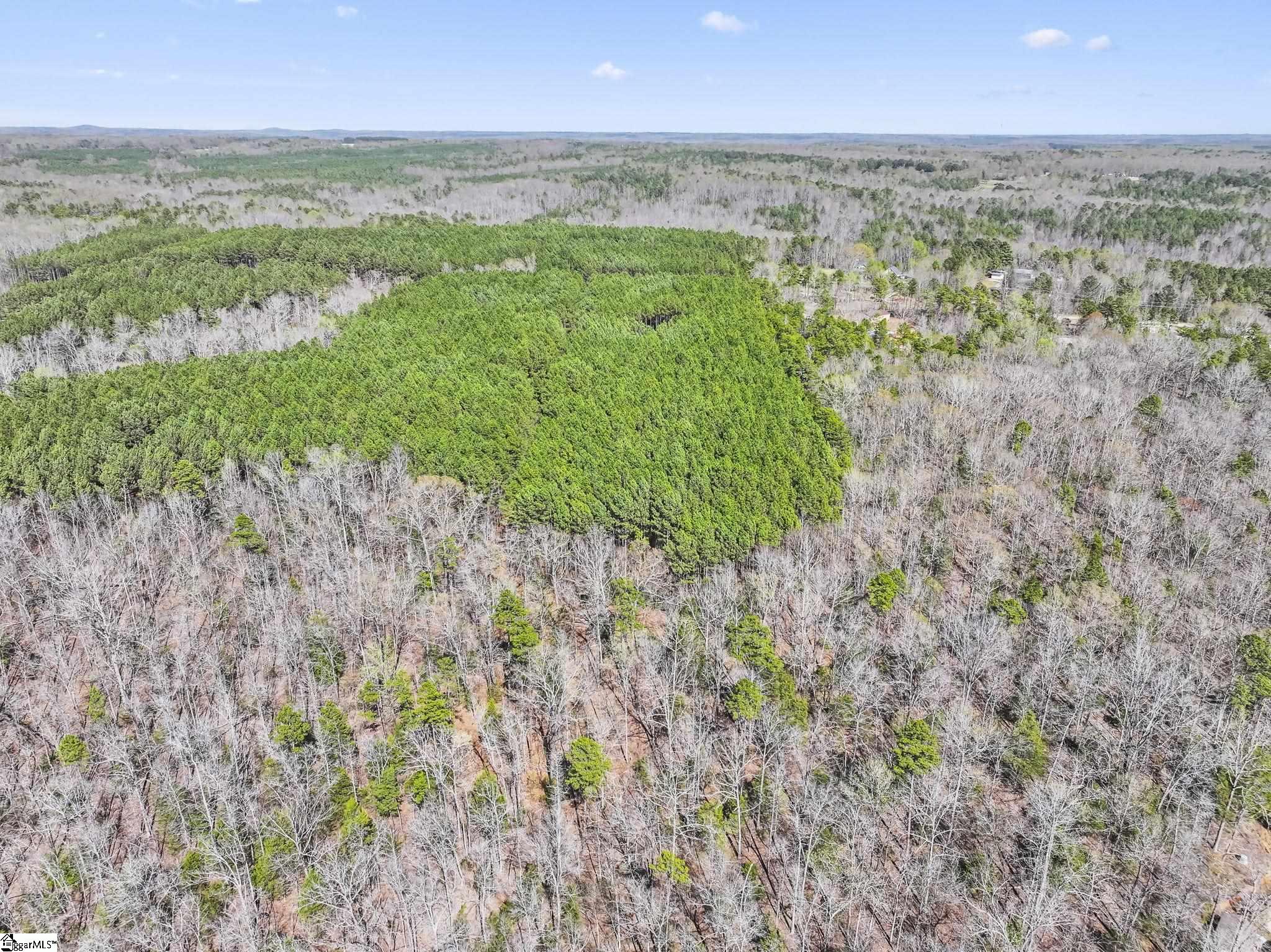 1073a Boyd Mills Pond Road Property Photo 7