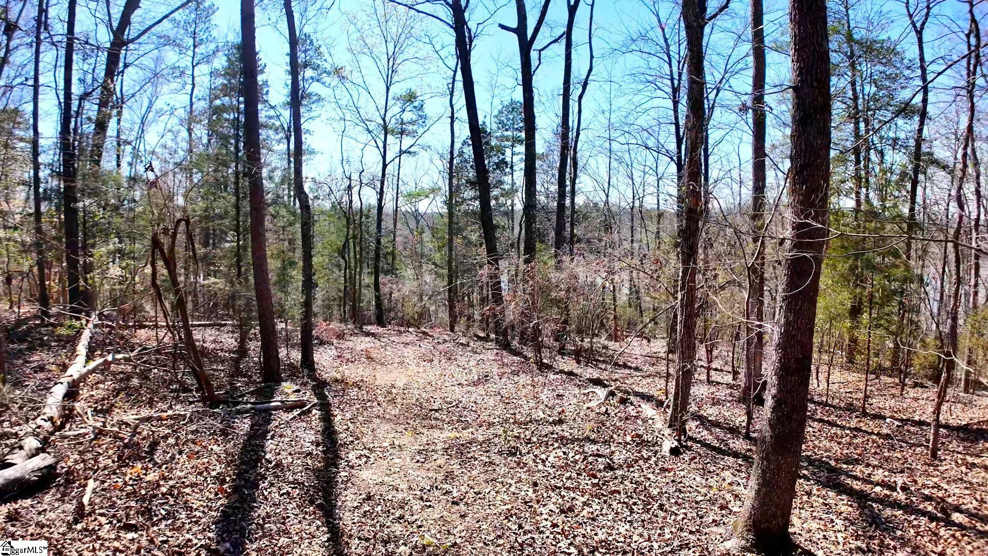 1073a Boyd Mills Pond Road Property Photo 12