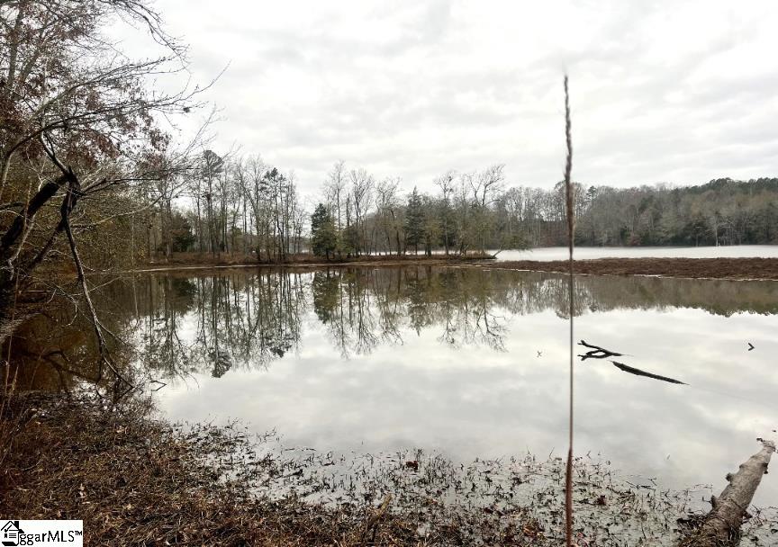 1073a Boyd Mills Pond Road Property Photo 13