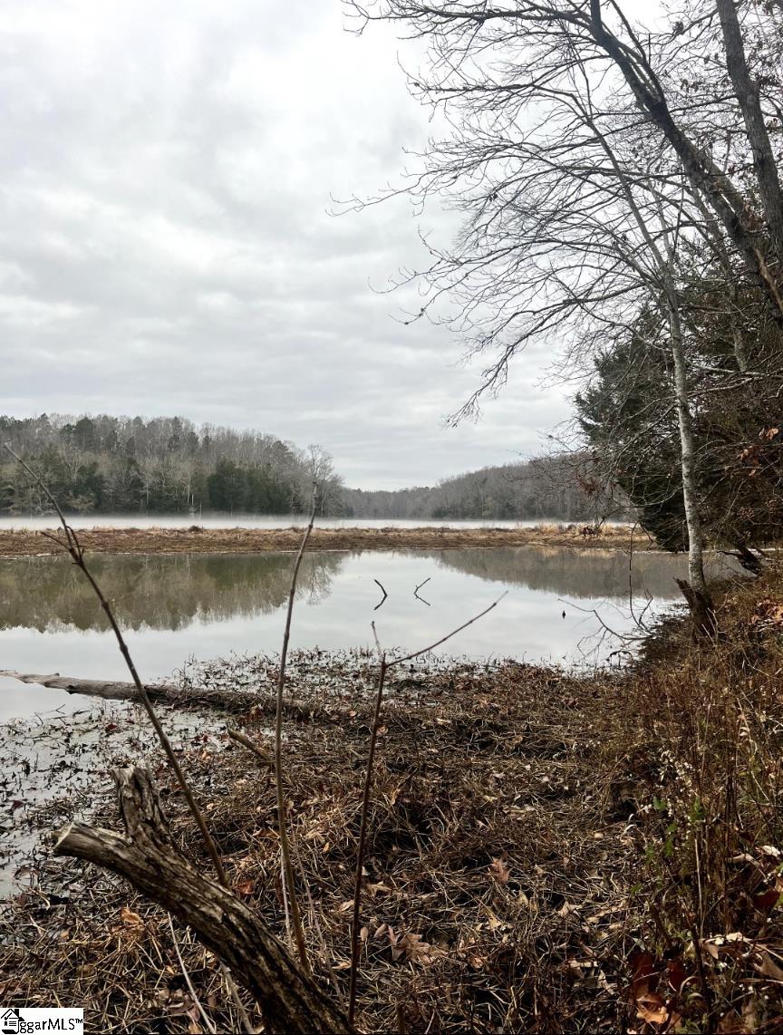 1073a Boyd Mills Pond Road Property Photo 14