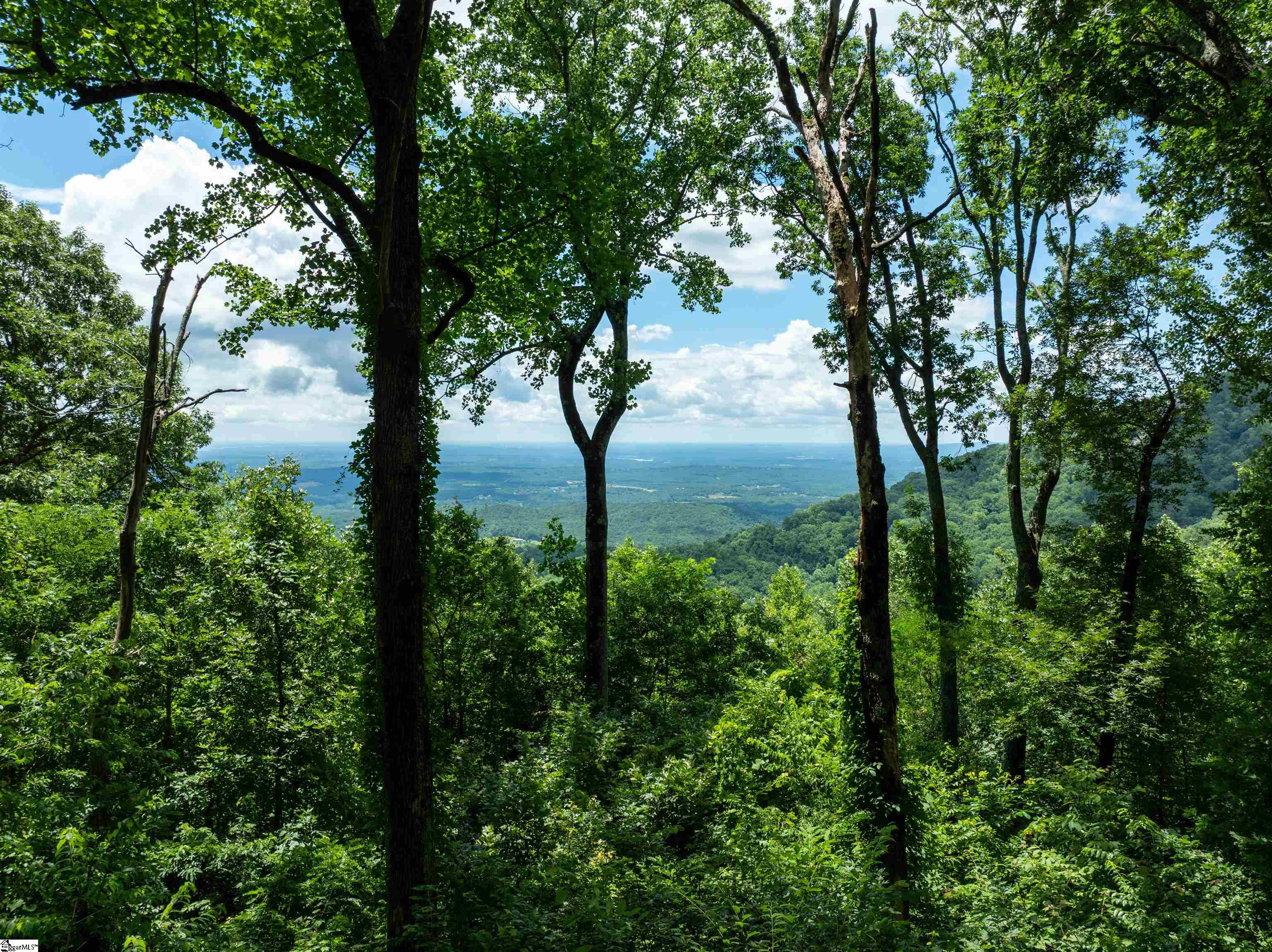 22 Raven Road Property Photo 1