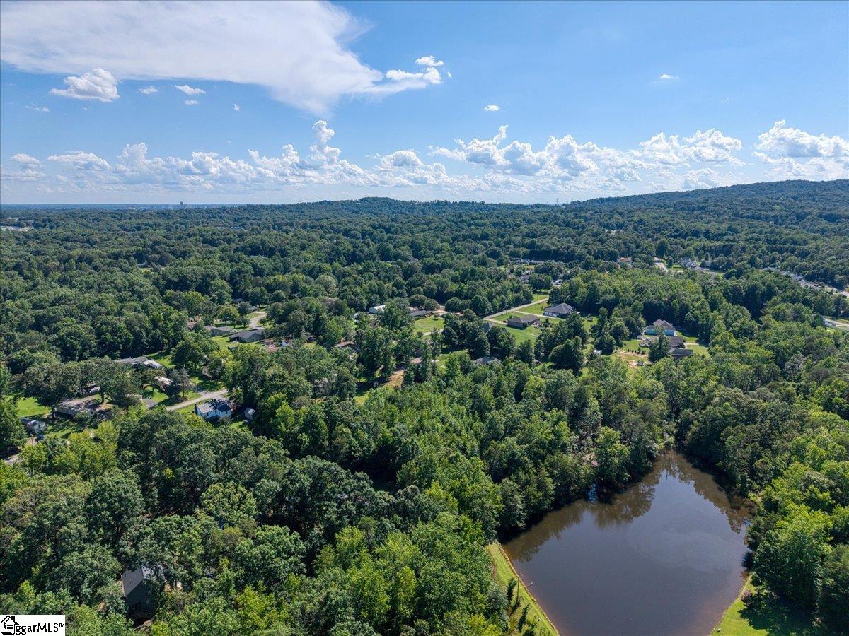 10 Hannah Springs Court Property Photo 4