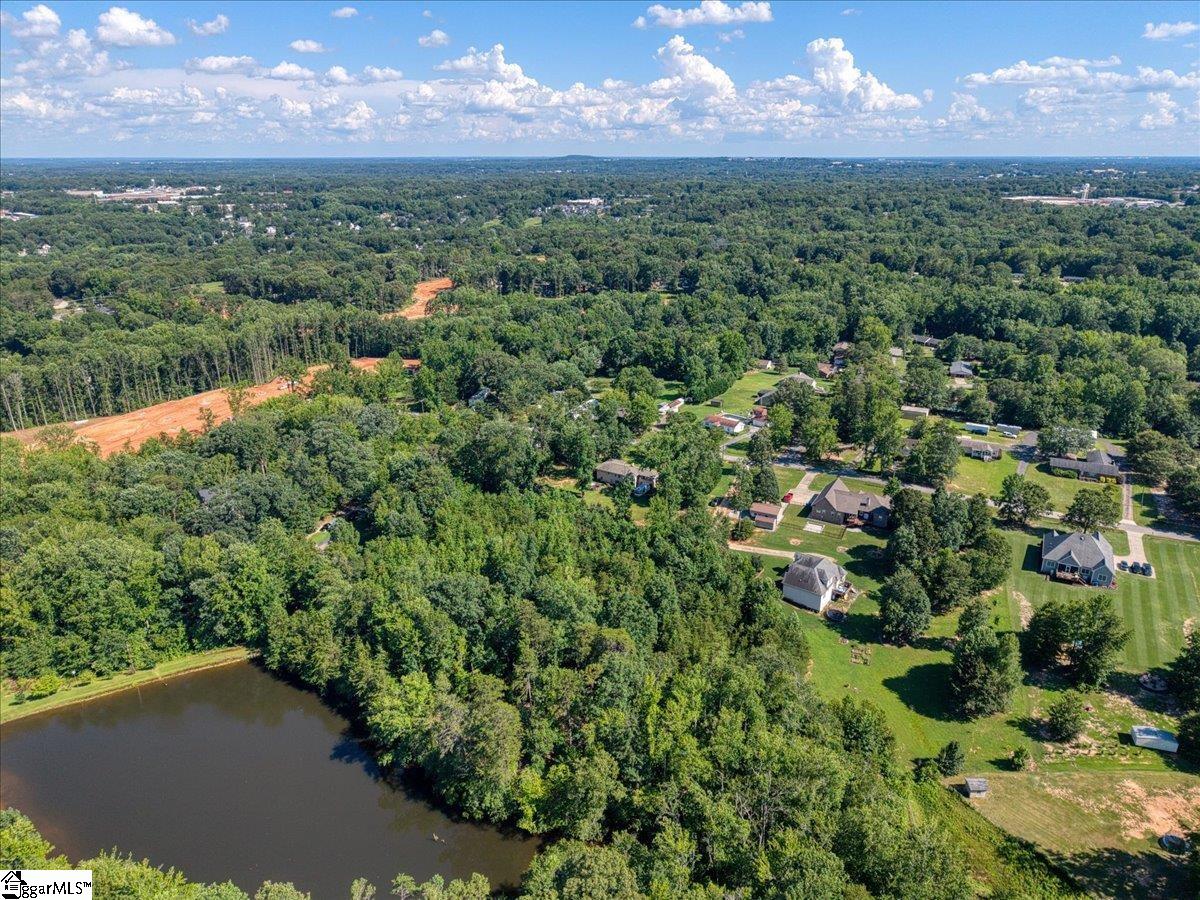 10 Hannah Springs Court Property Photo 10