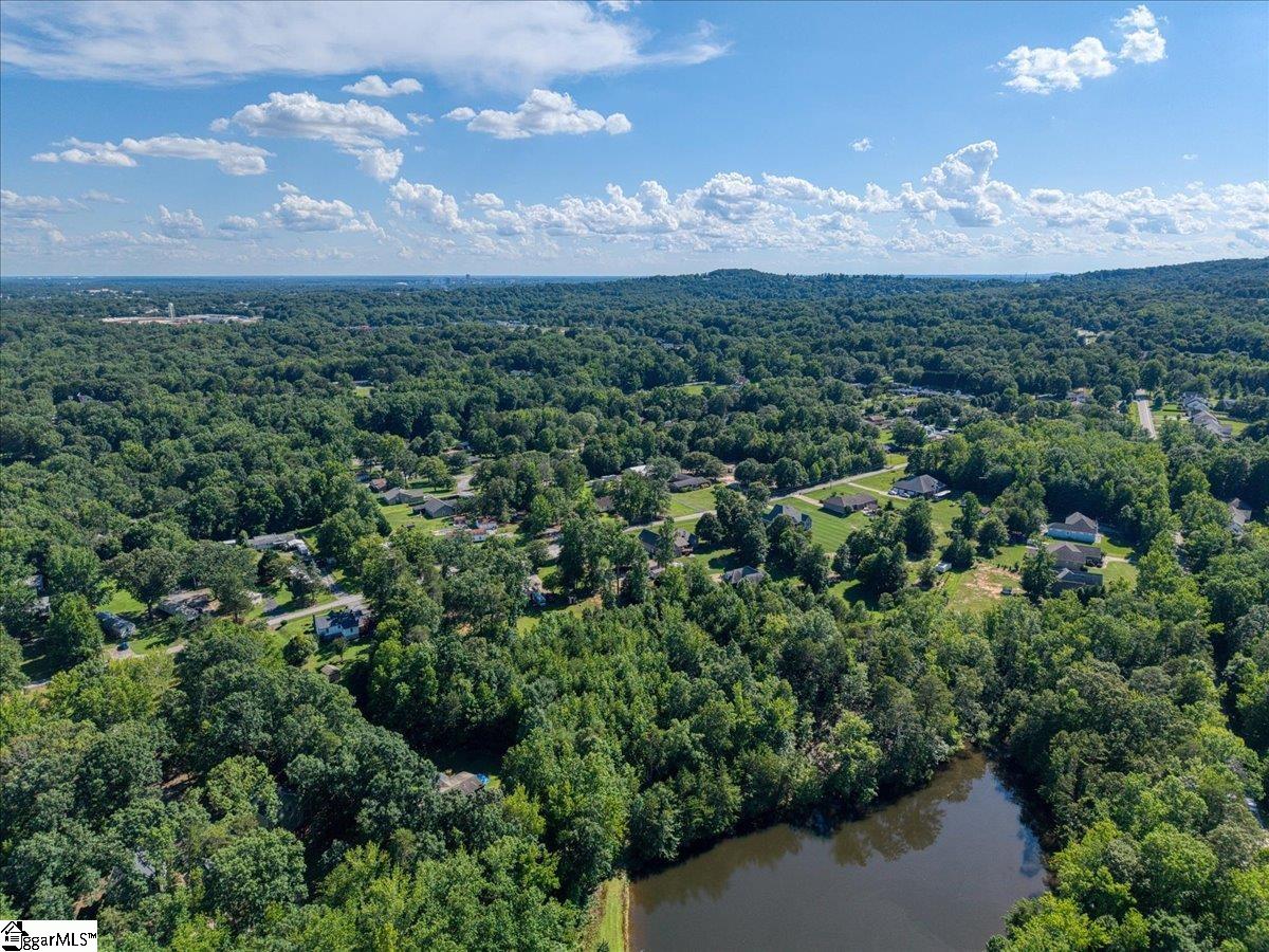 10 Hannah Springs Court Property Photo 16