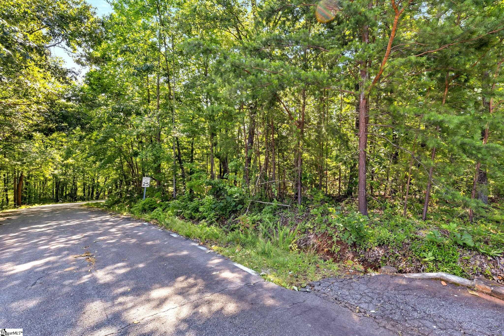 00 Old Chapman Trail Property Photo 13