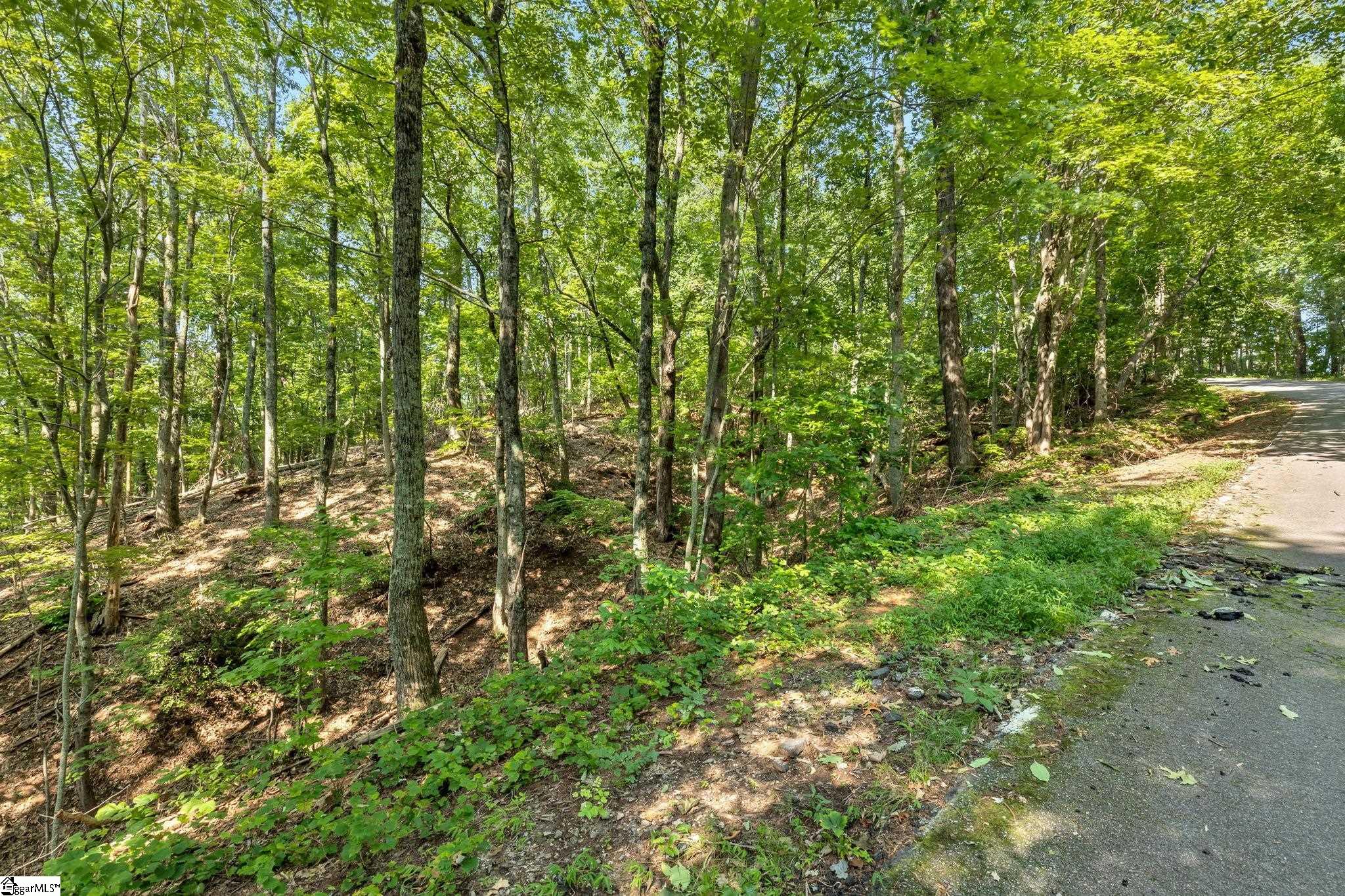 00 Old Chapman Trail Property Photo 15