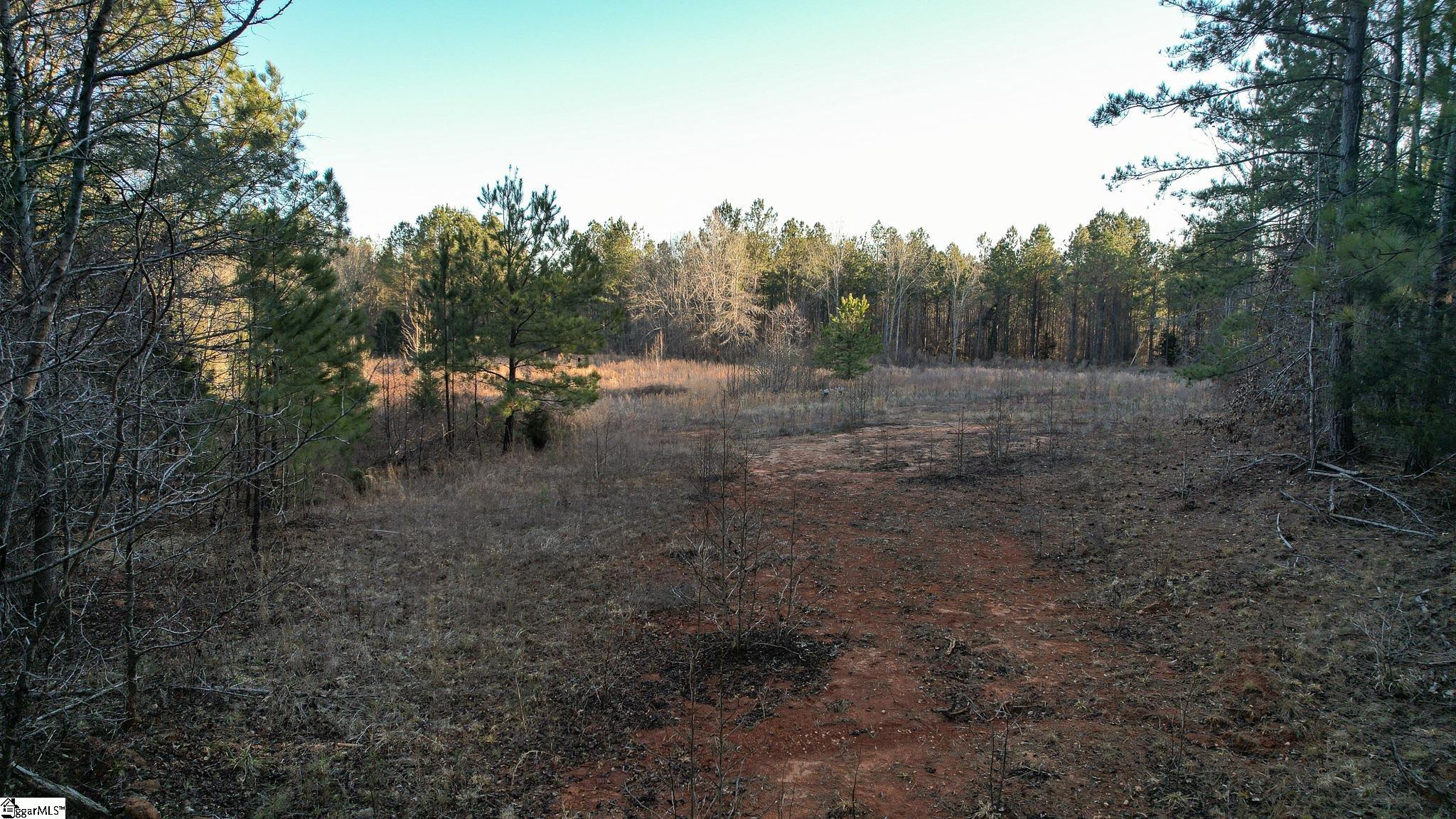 00 Jefferson Davis Road Property Photo 4