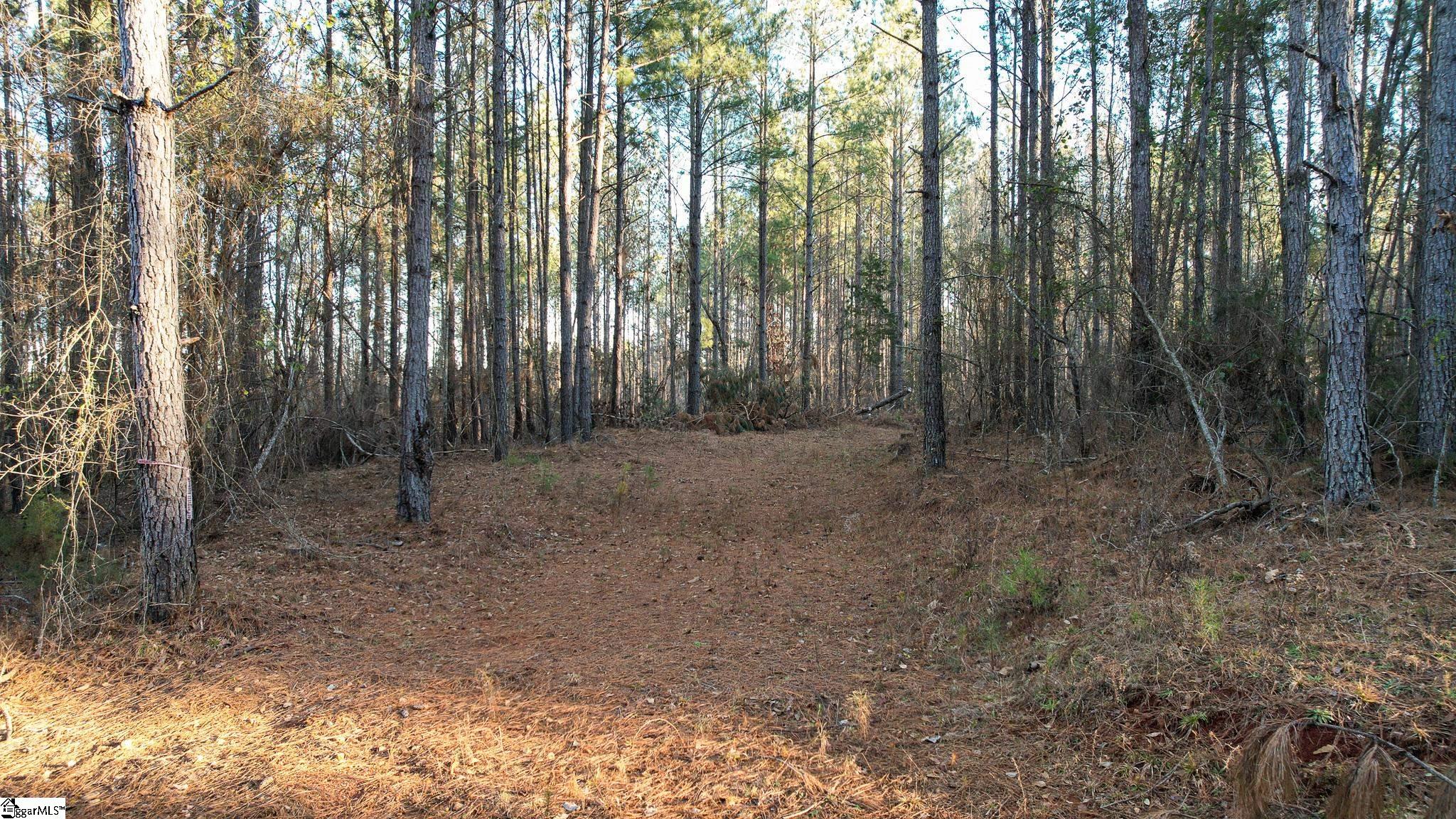 00 Jefferson Davis Road Property Photo 7