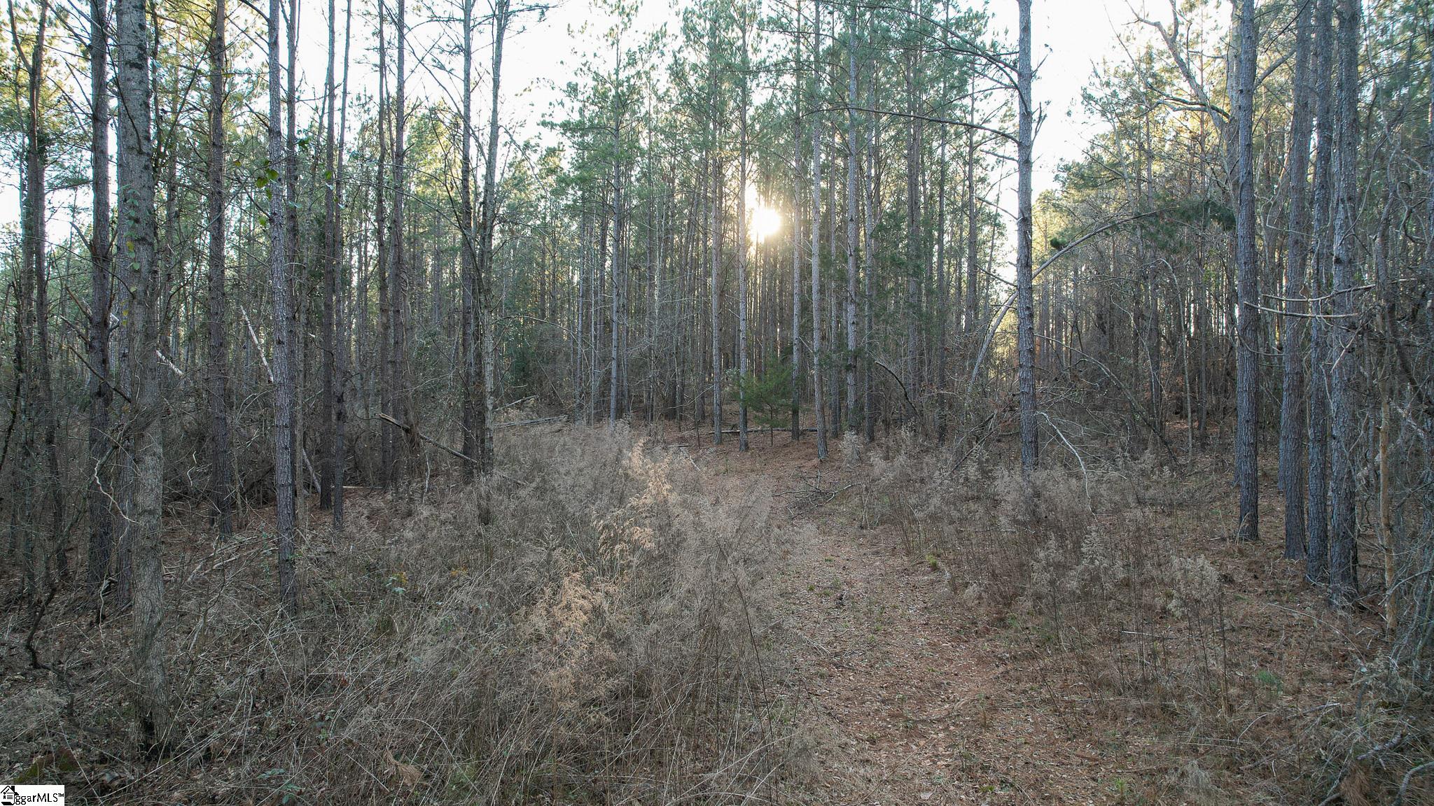 00 Jefferson Davis Road Property Photo 8