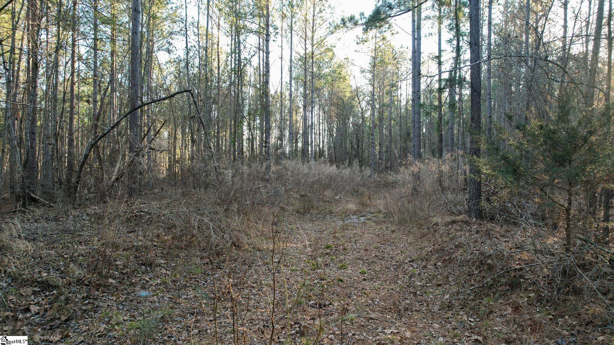 00 Jefferson Davis Road Property Photo 19