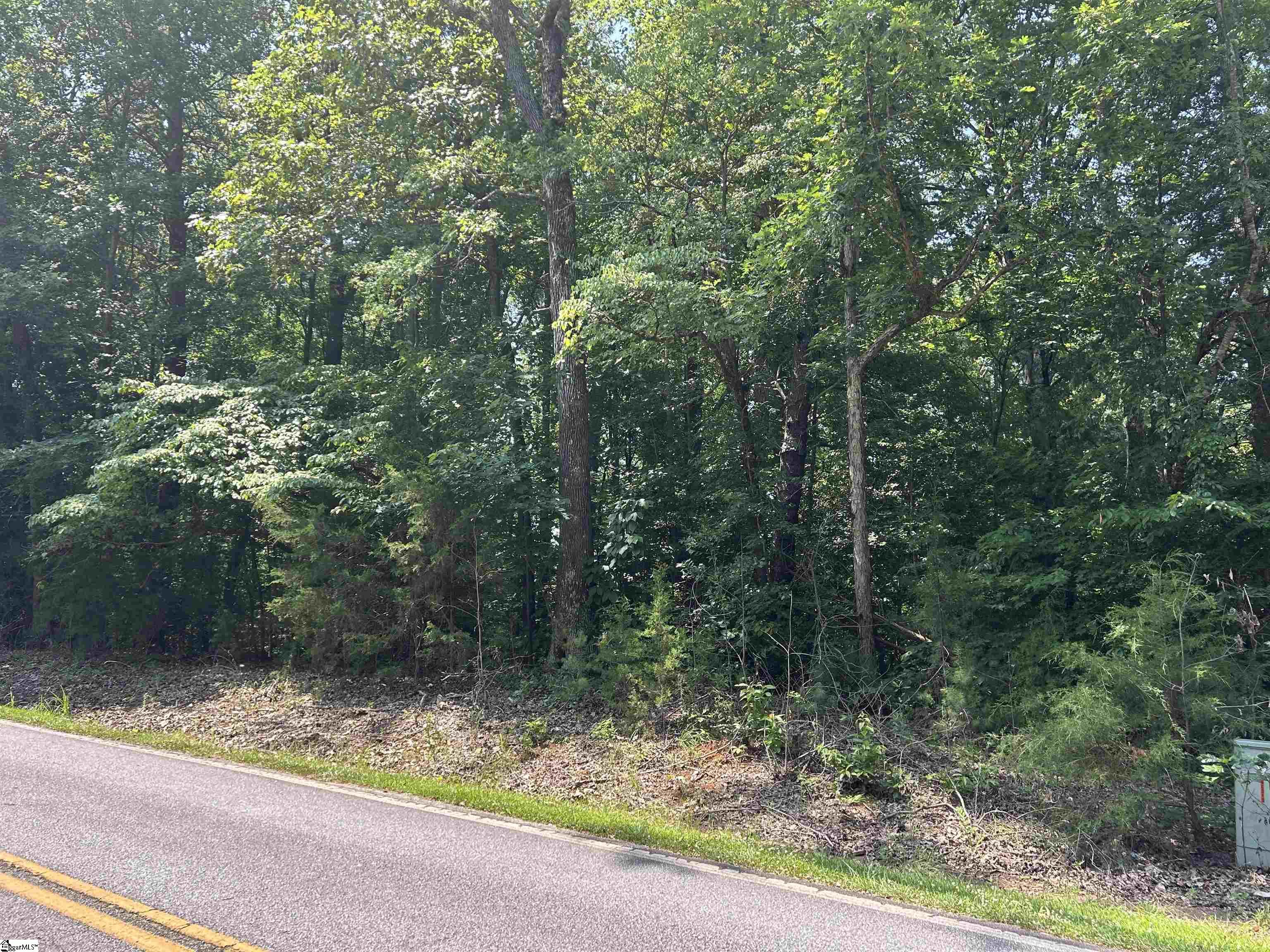 00 Pinewood Drive Property Photo 3