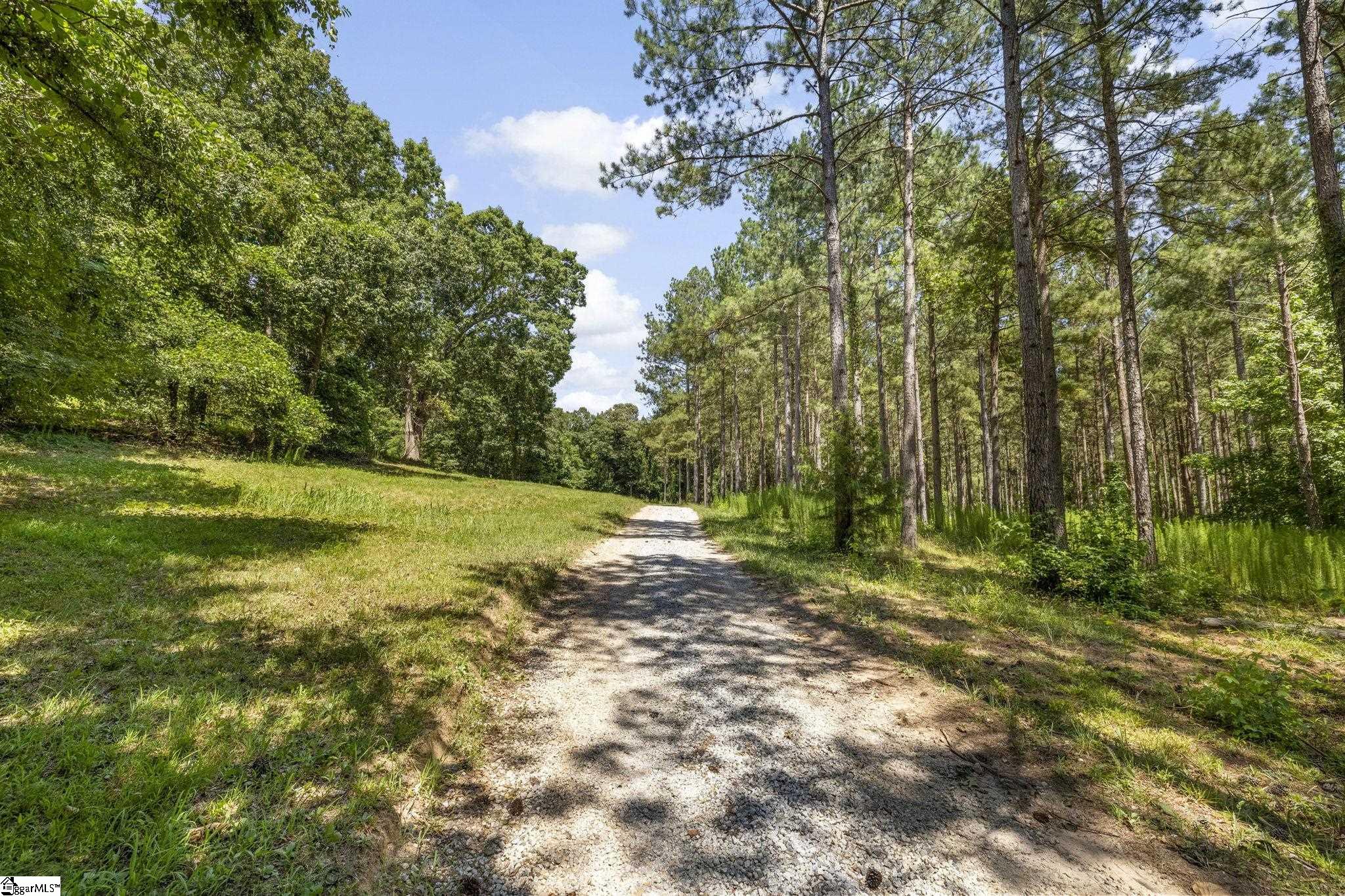 360 Terry Road Property Photo 25