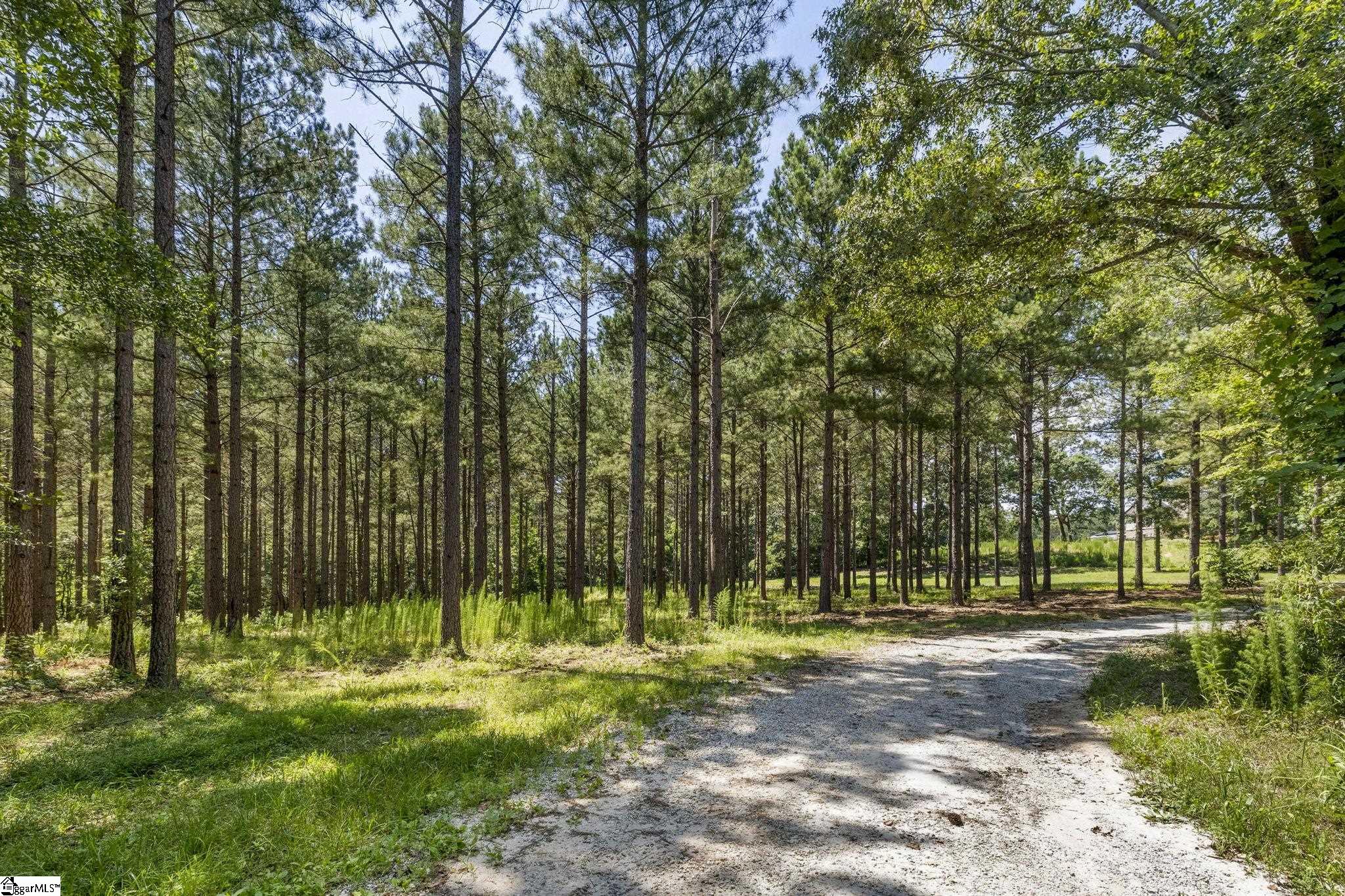 360 Terry Road Property Photo 29