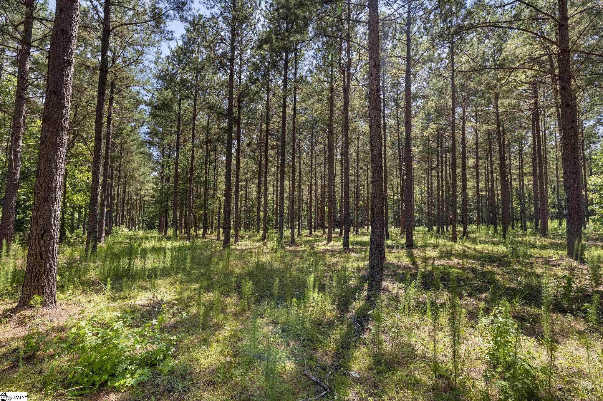 360 Terry Road Property Photo 30