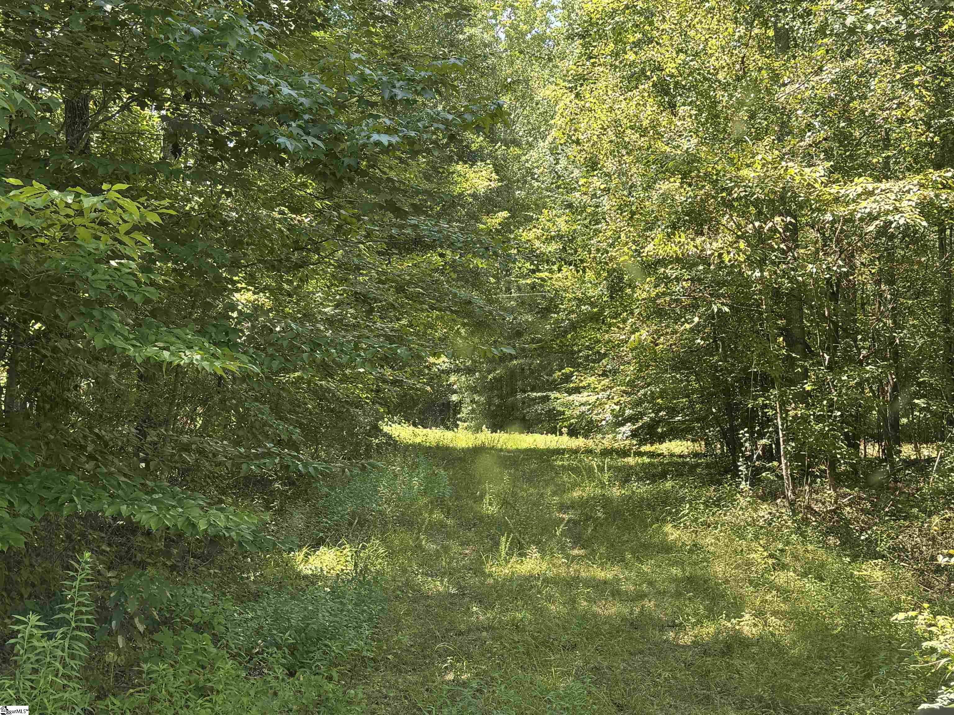 2133 North Highway 25 Property Photo 4