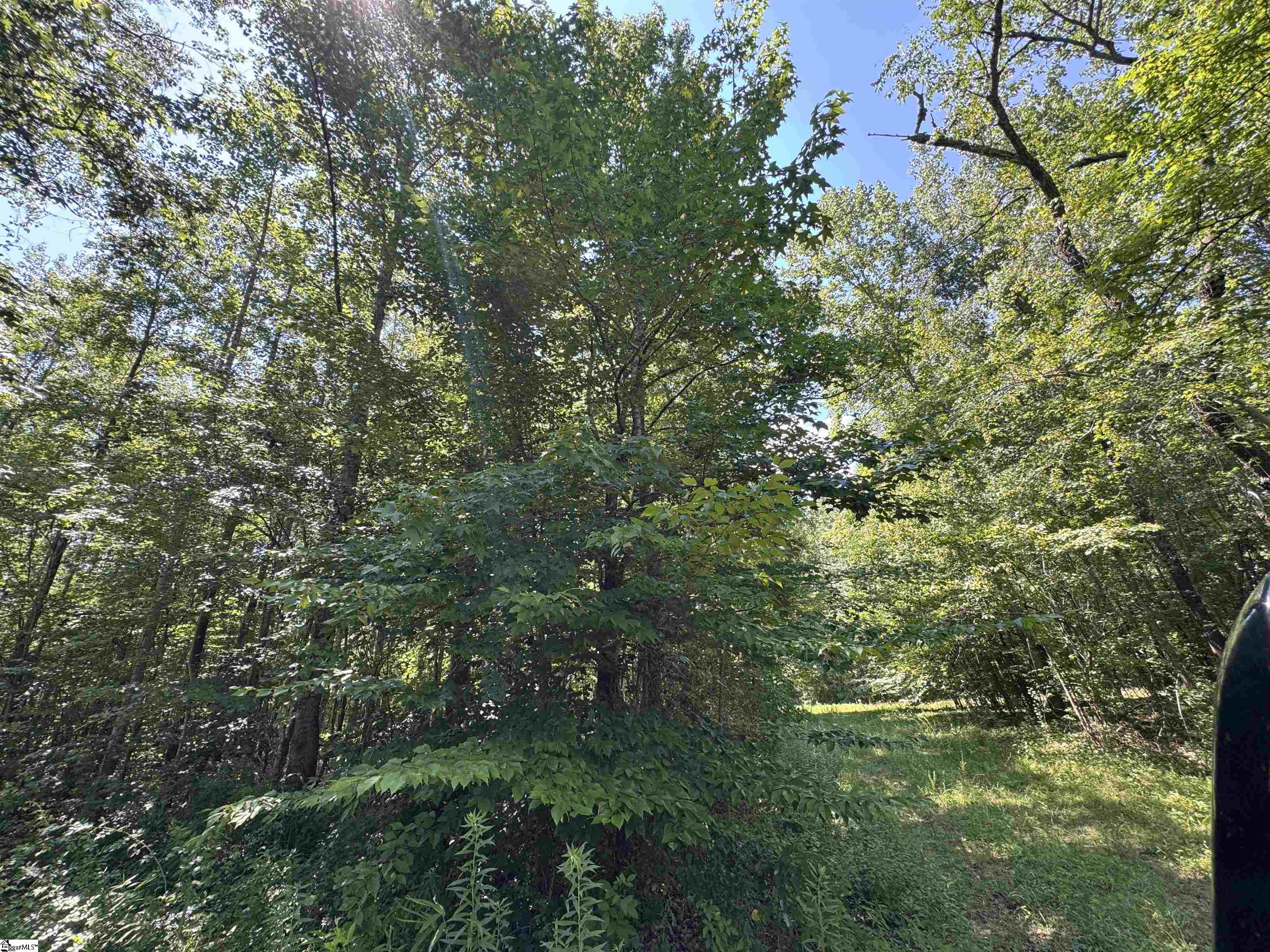 2133 North Highway 25 Property Photo 6