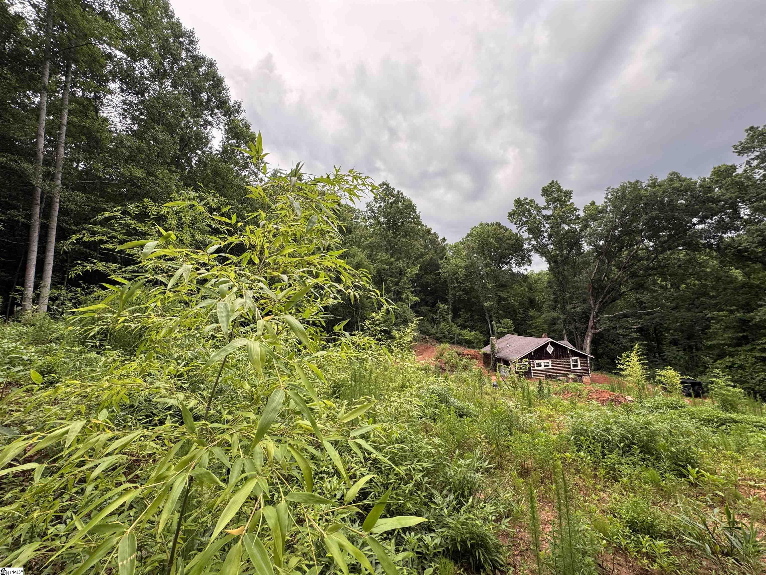 8875 N Tigerville Road Property Photo 1
