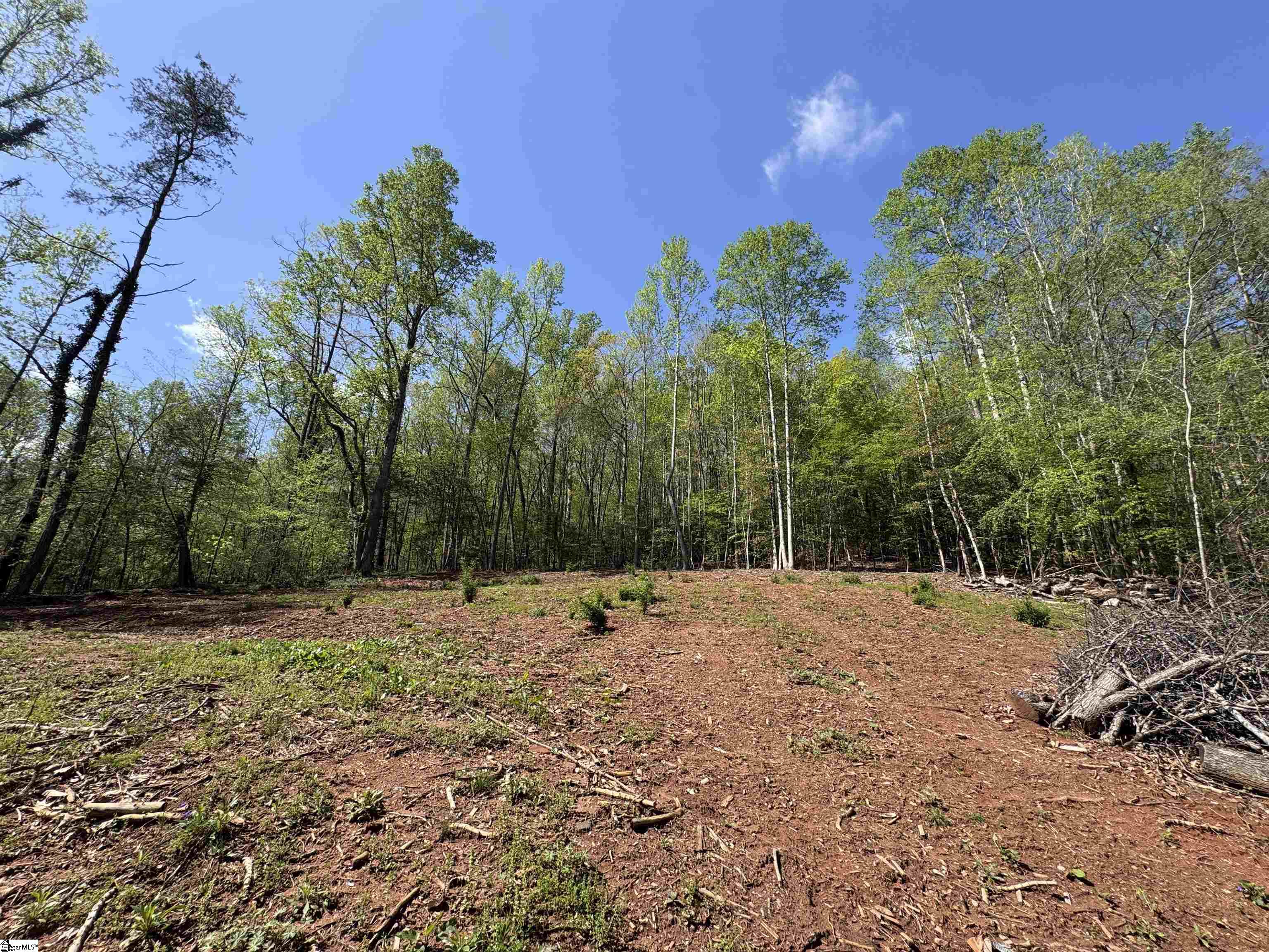 8875 N Tigerville Road Property Photo 5