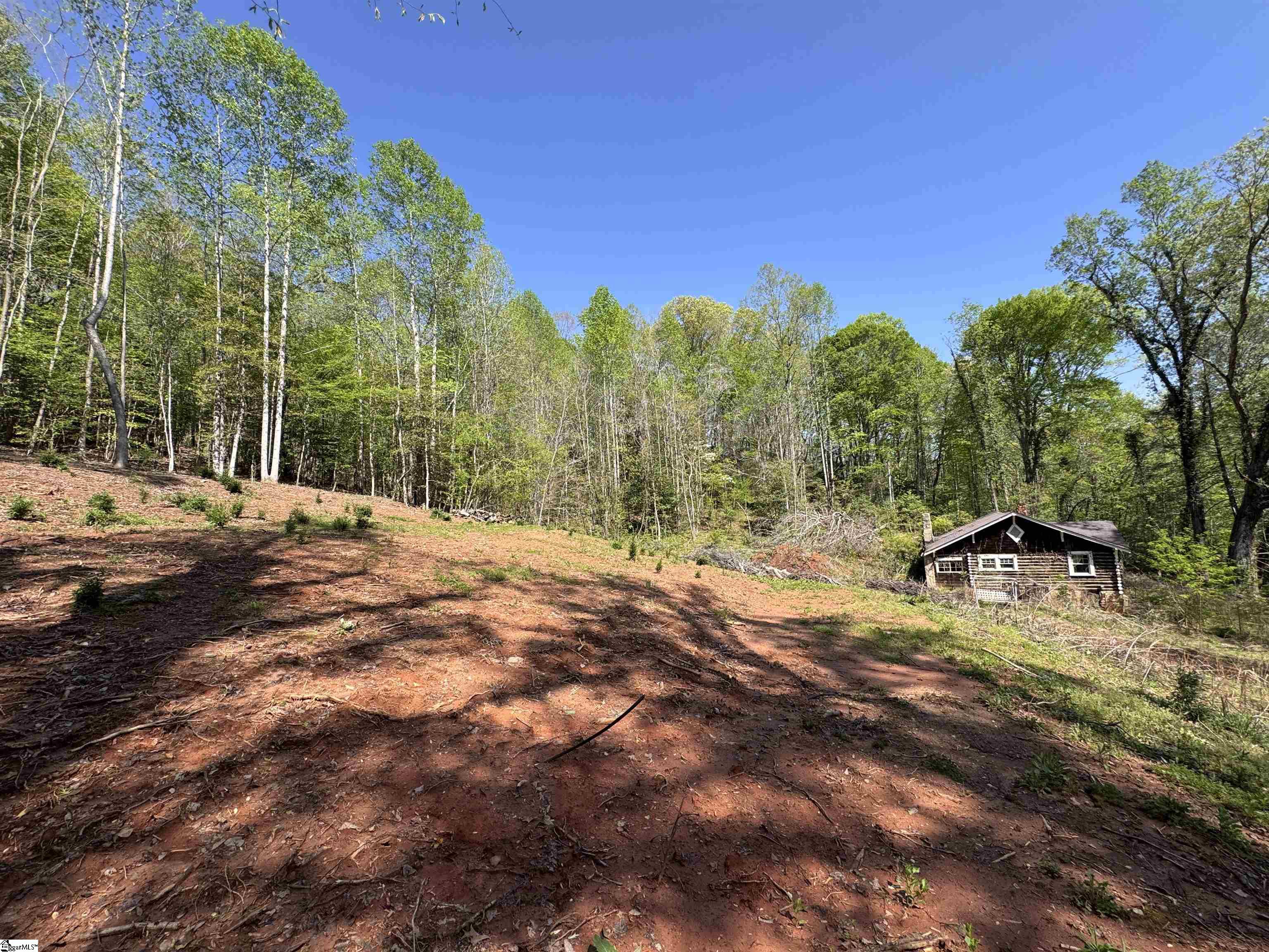 8875 N Tigerville Road Property Photo 6