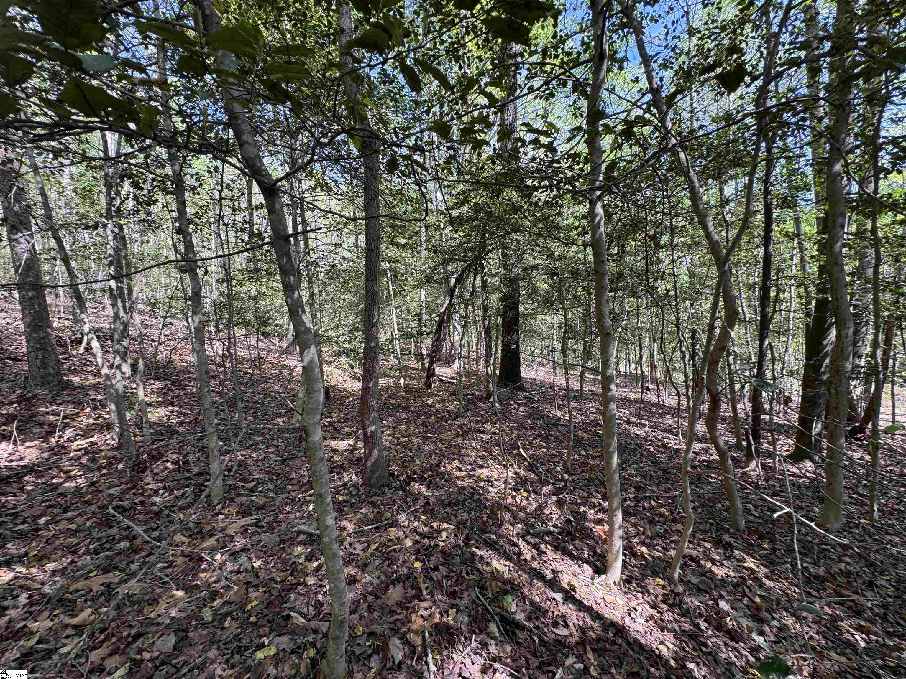 8875 N Tigerville Road Property Photo 7