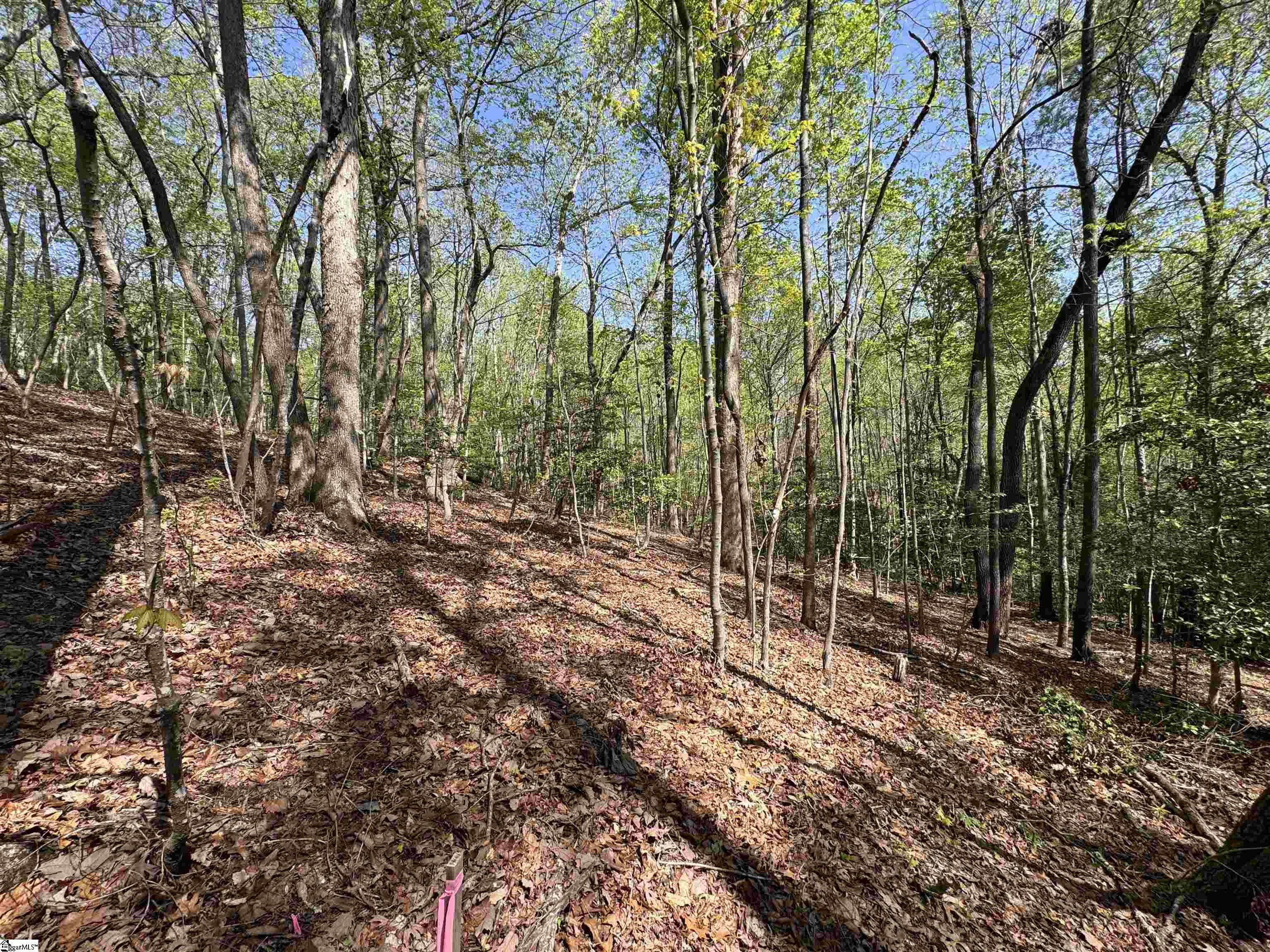 8875 N Tigerville Road Property Photo 8