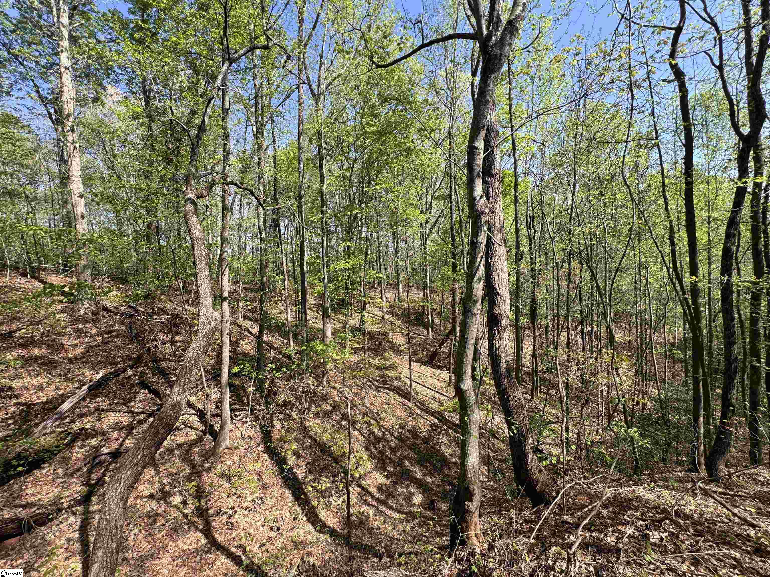 8875 N Tigerville Road Property Photo 9