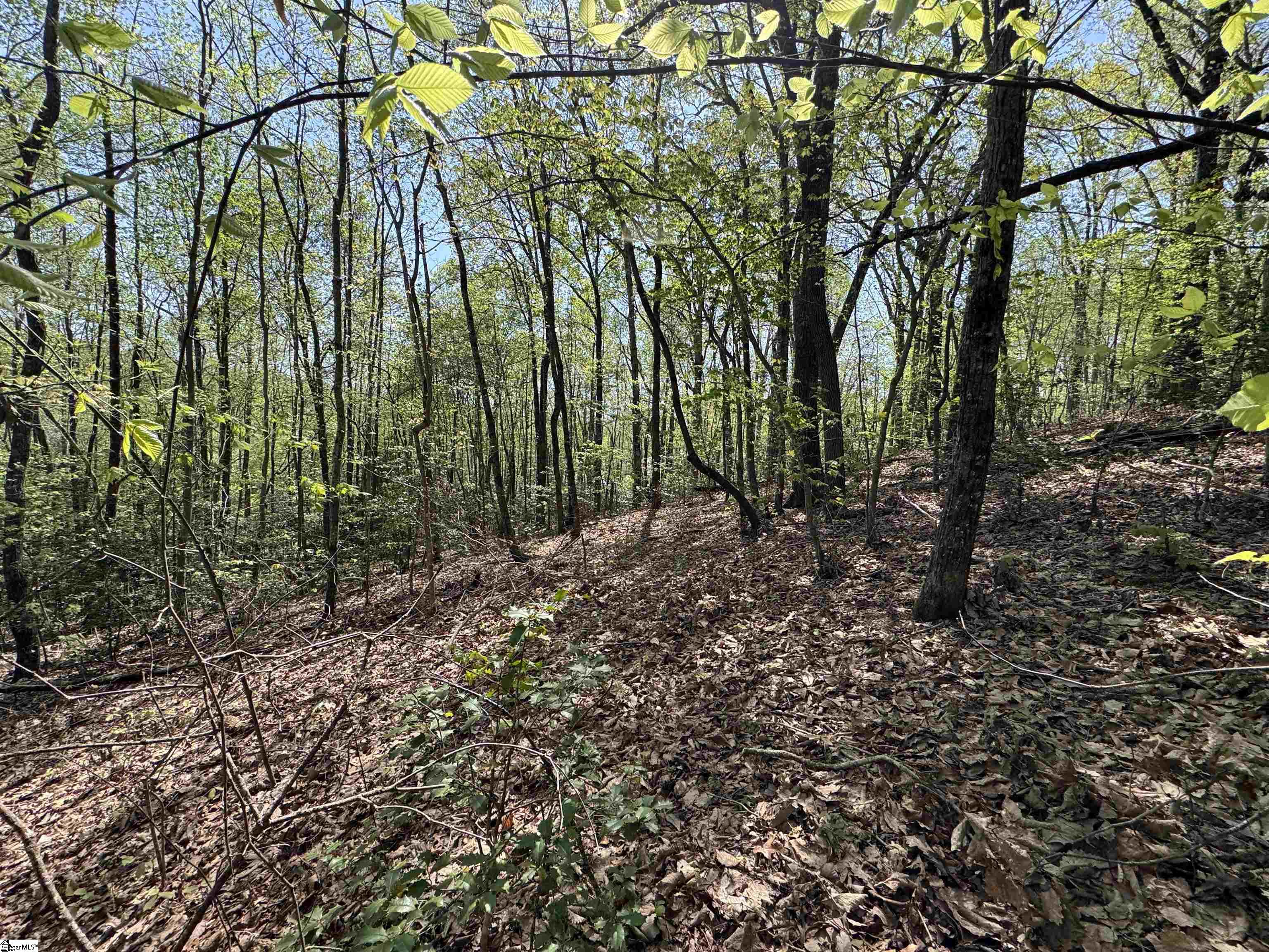 8875 N Tigerville Road Property Photo 10