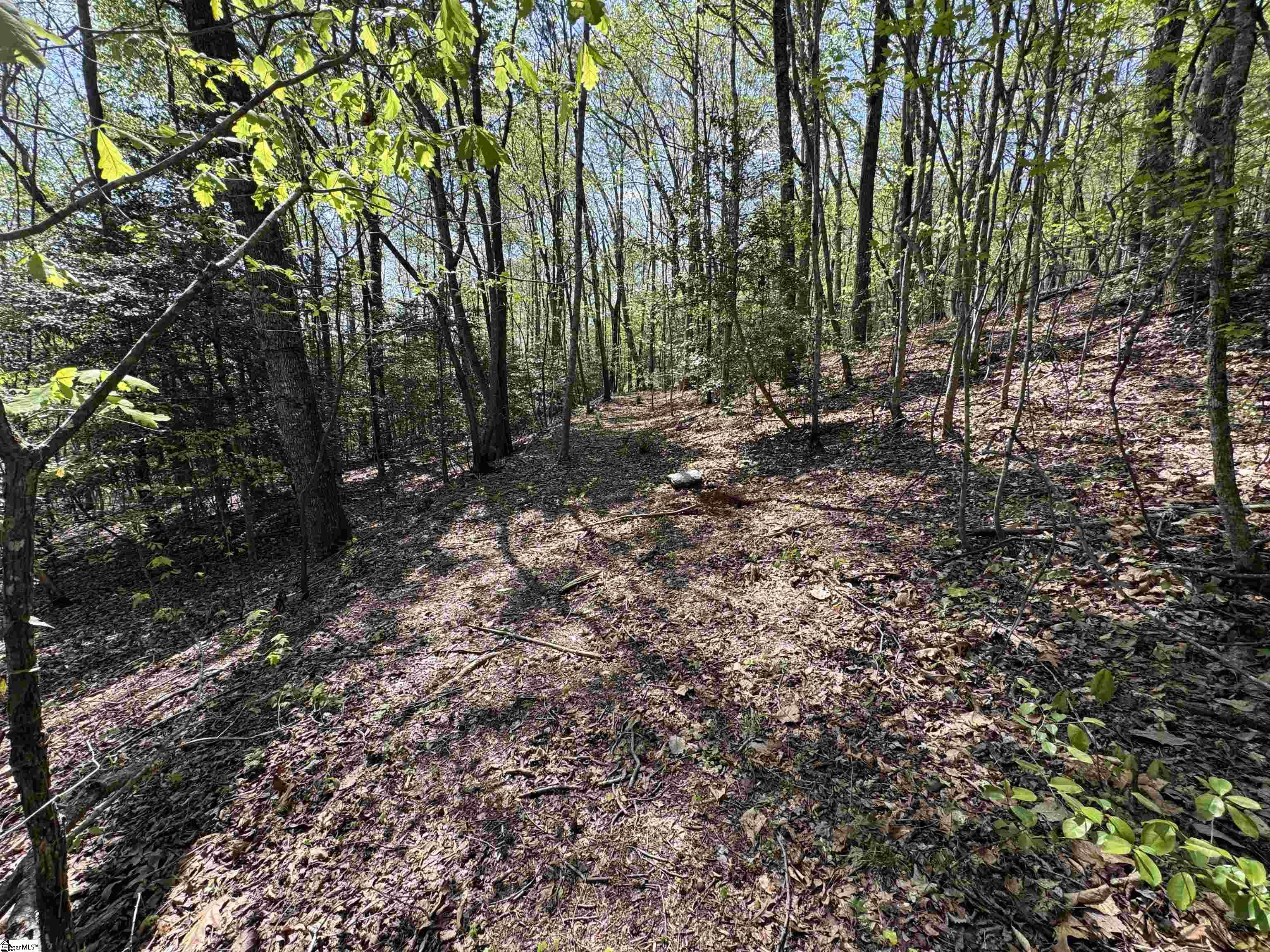 8875 N Tigerville Road Property Photo 13