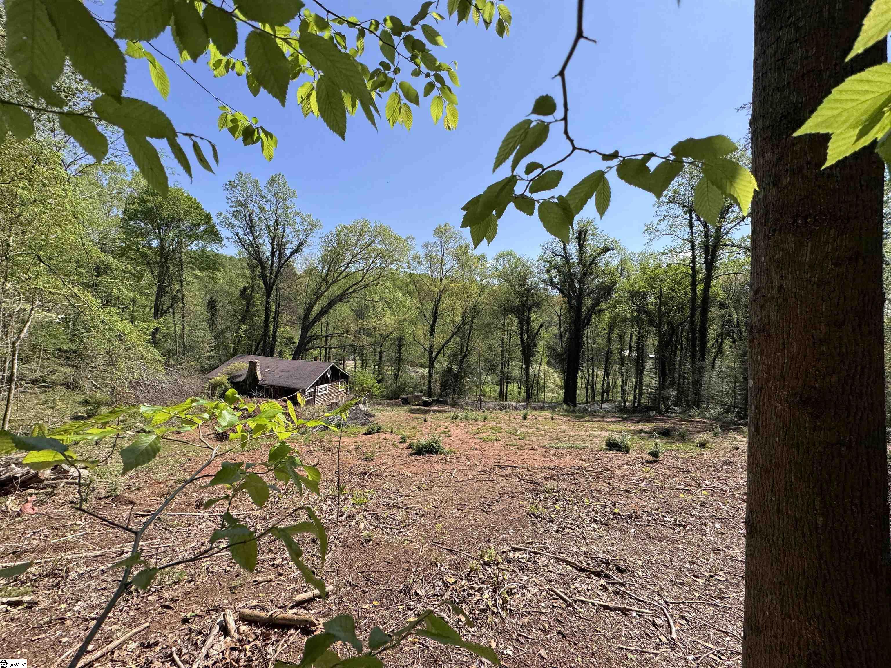 8875 N Tigerville Road Property Photo 15