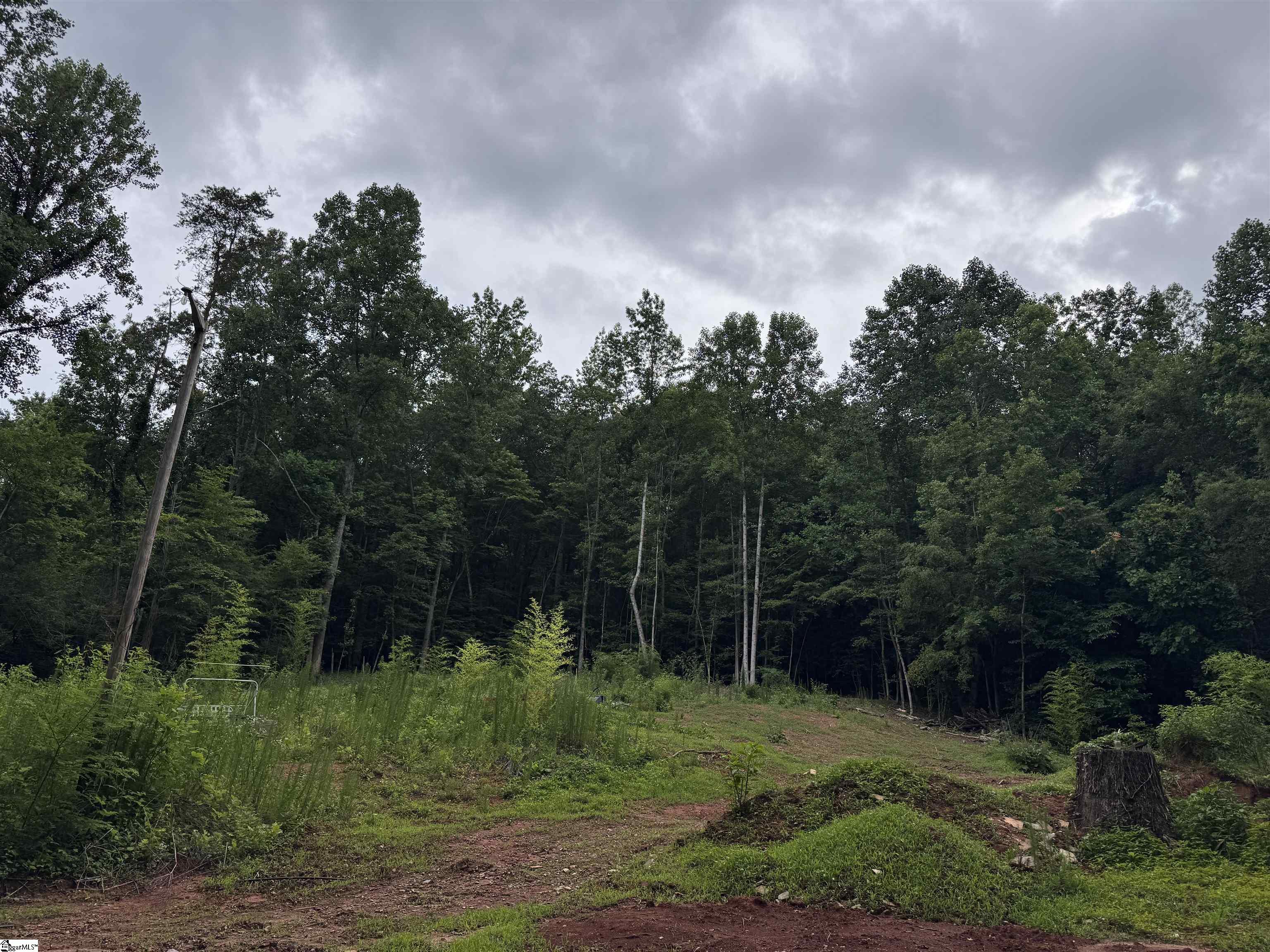 8875 N Tigerville Road Property Photo 23