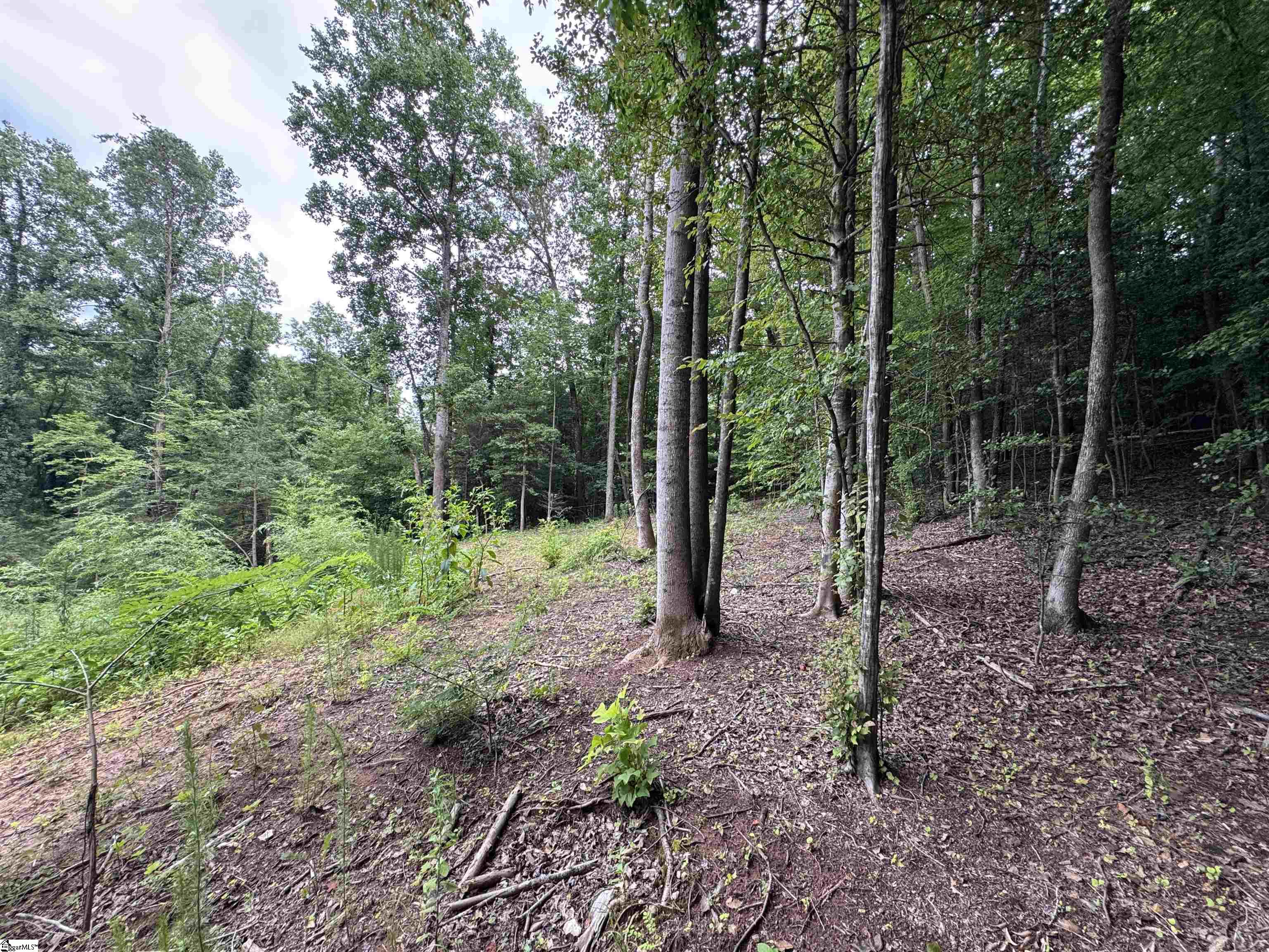 8875 N Tigerville Road Property Photo 26