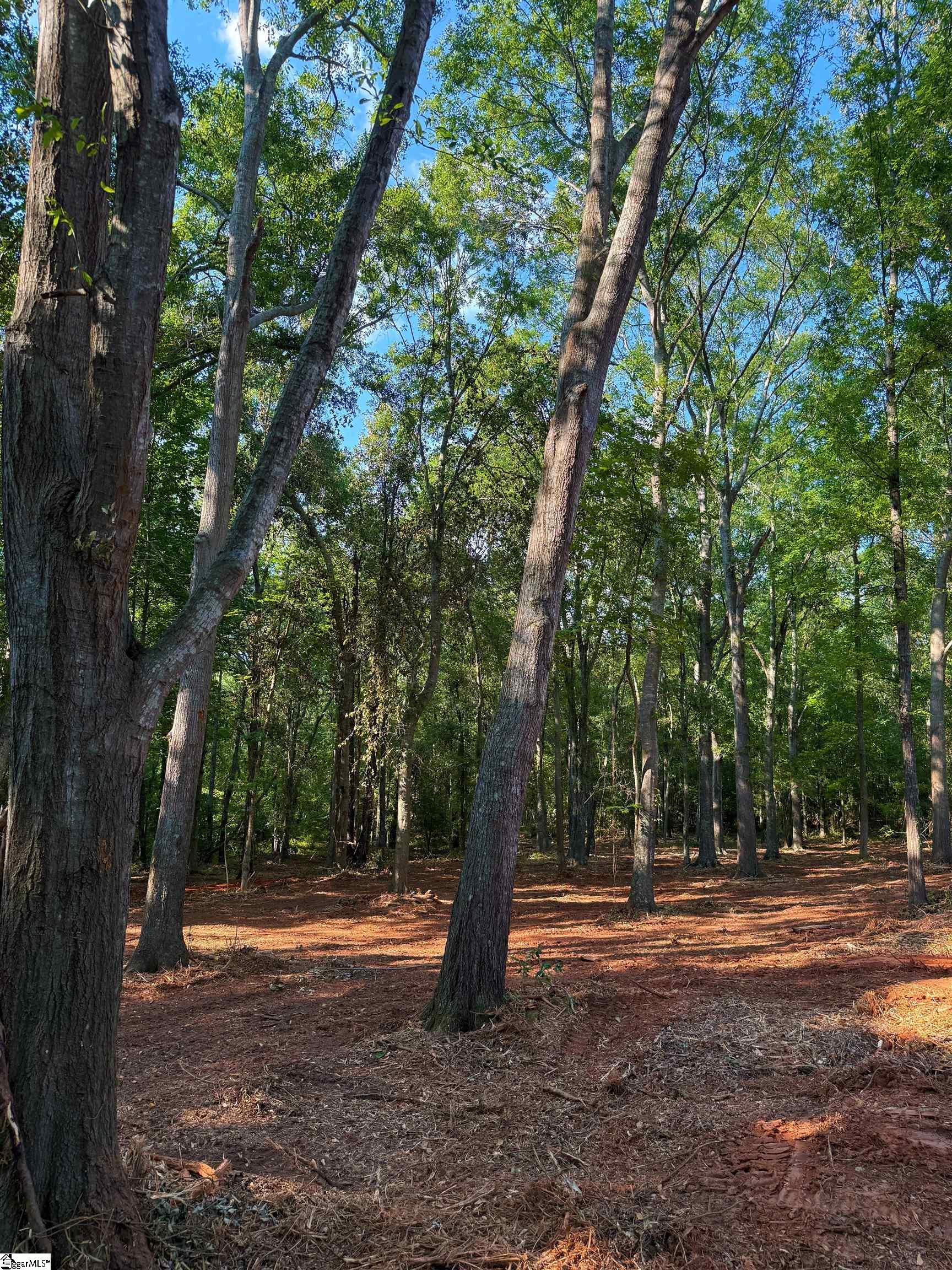 01 Guest Circle Property Photo 19