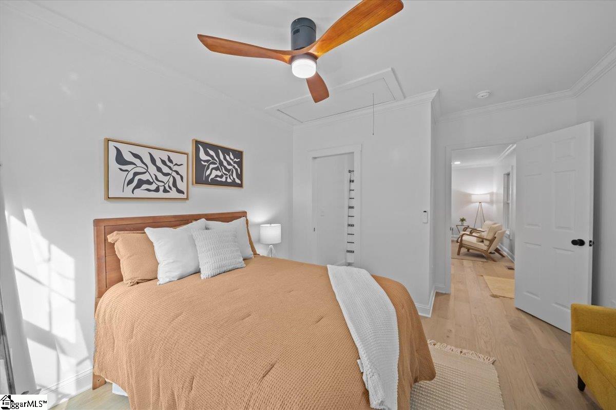 8 Baldwin Street Property Photo 19