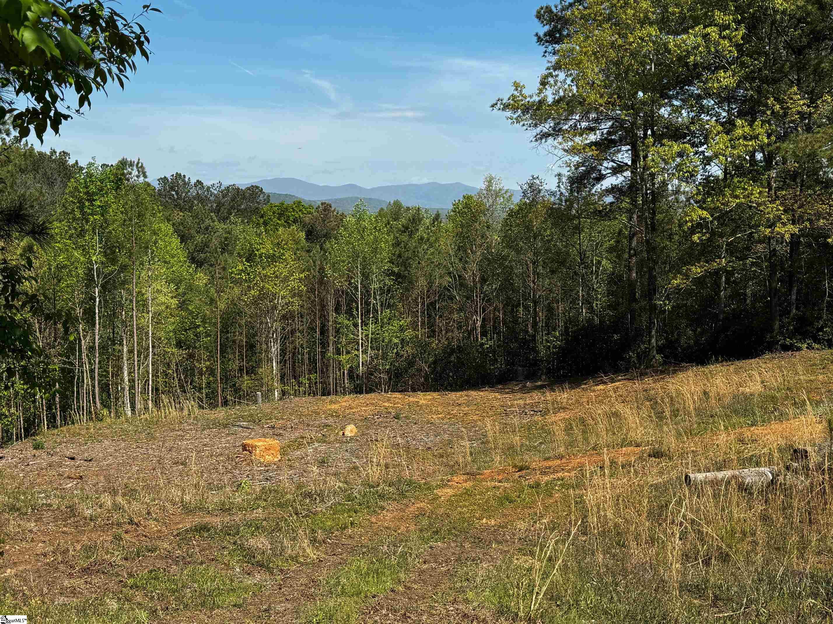 1563401 Property Photo 1