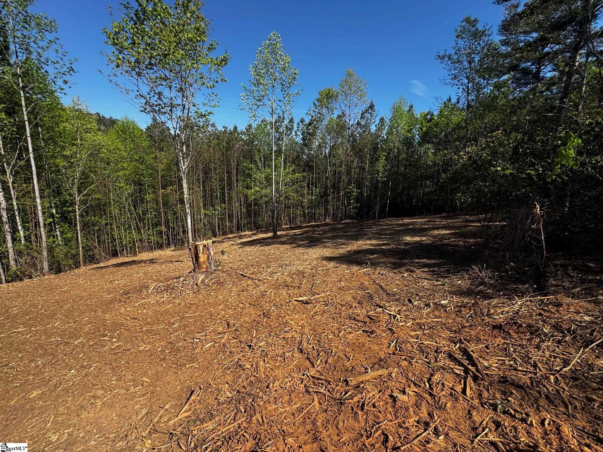 1563401 Property Photo 3