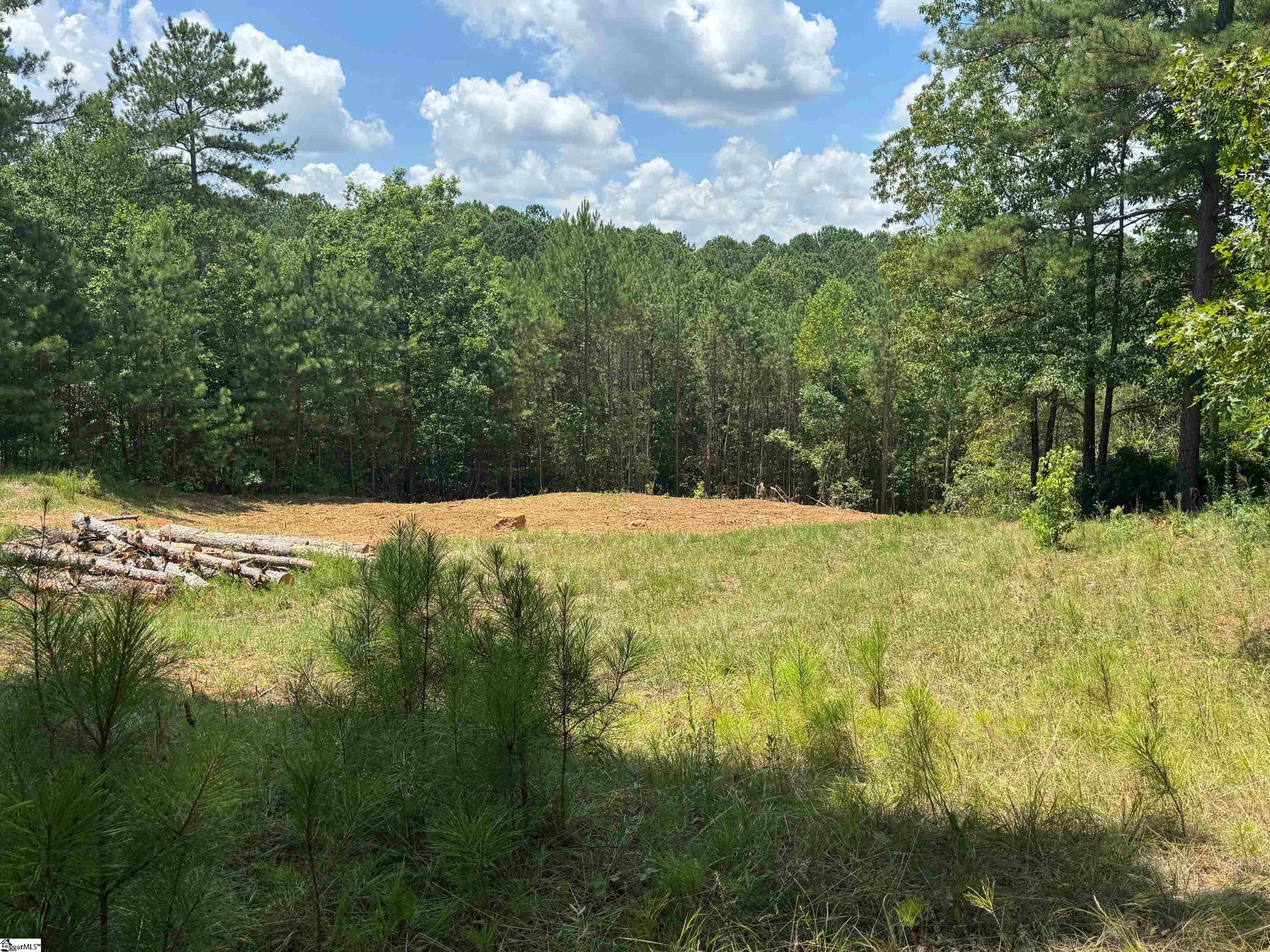1563401 Property Photo 4