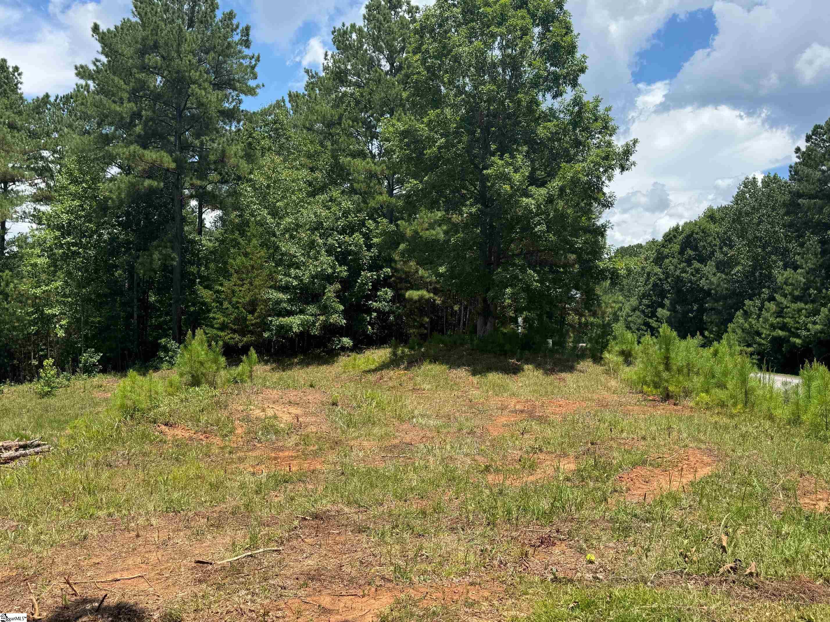 1563401 Property Photo 11