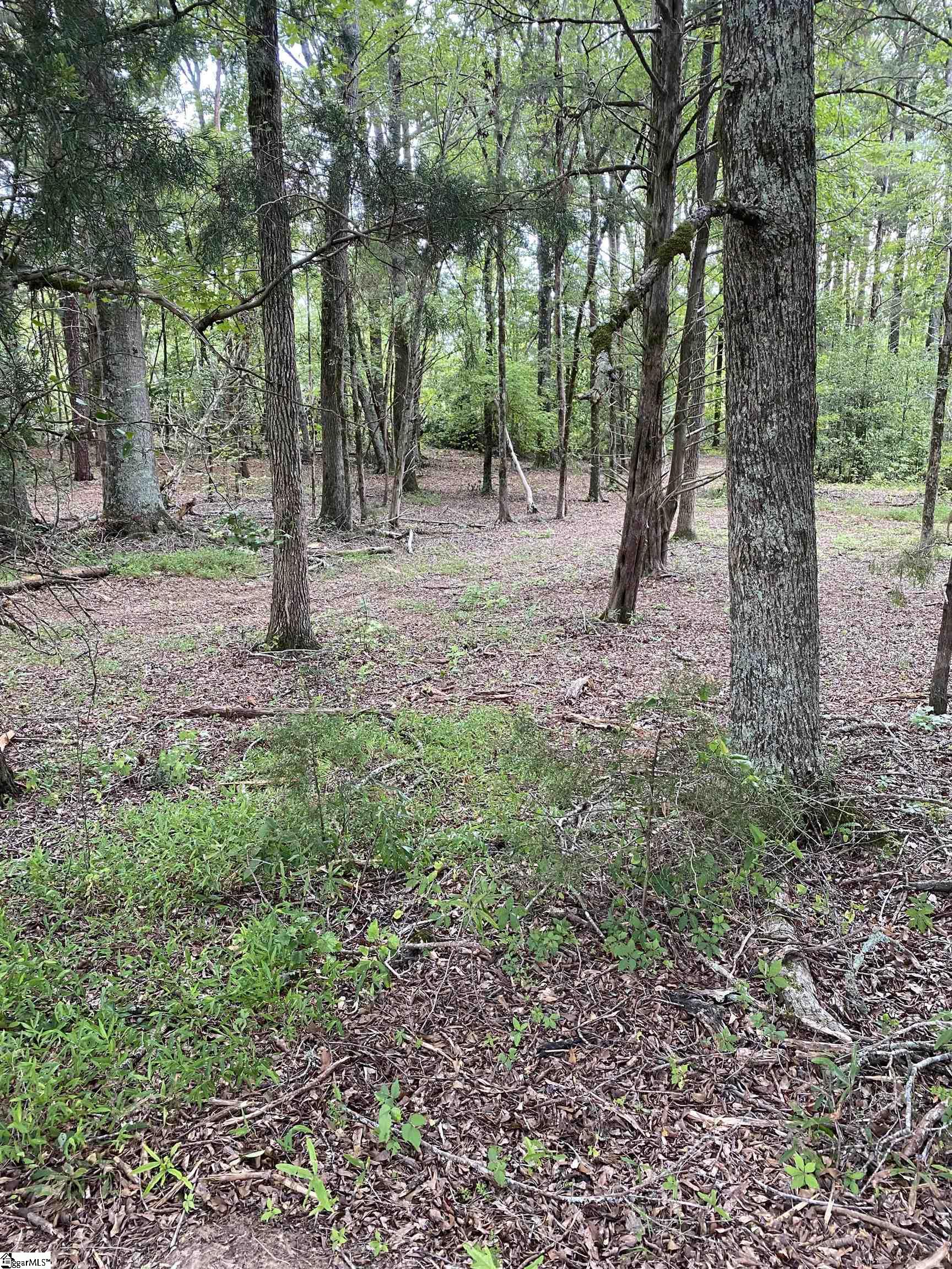 00 Edgewater Road Property Photo 2
