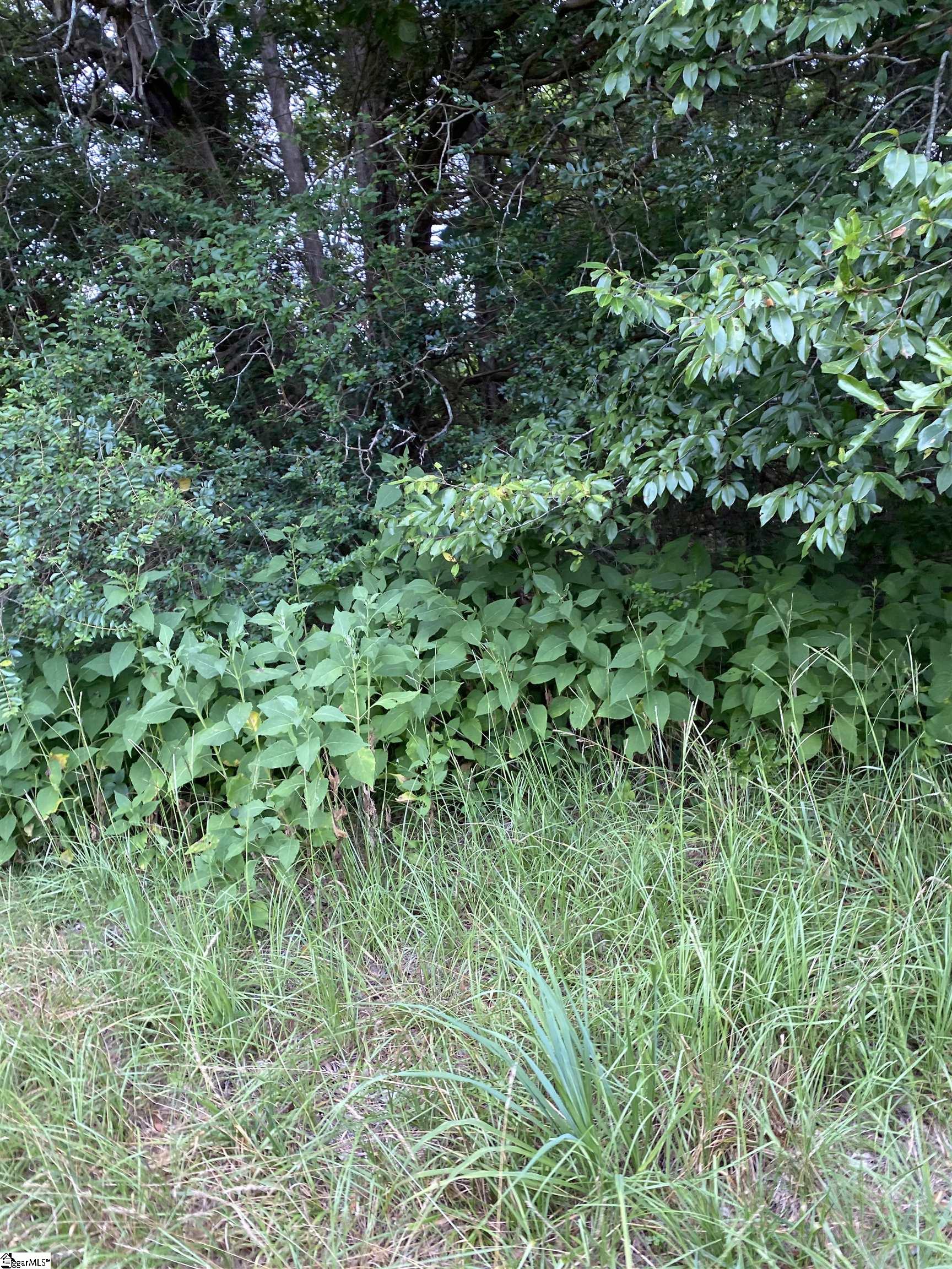 00 Edgewater Road Property Photo 4