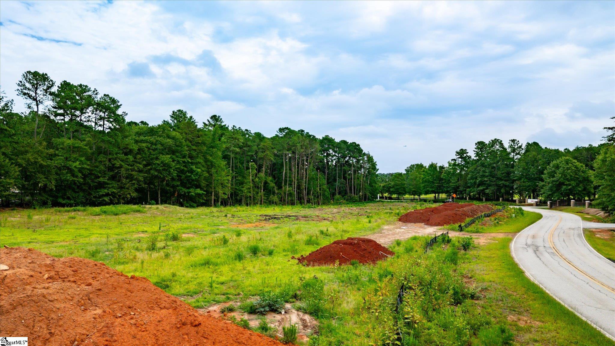 203 Ponders Ray Lane Property Photo 3