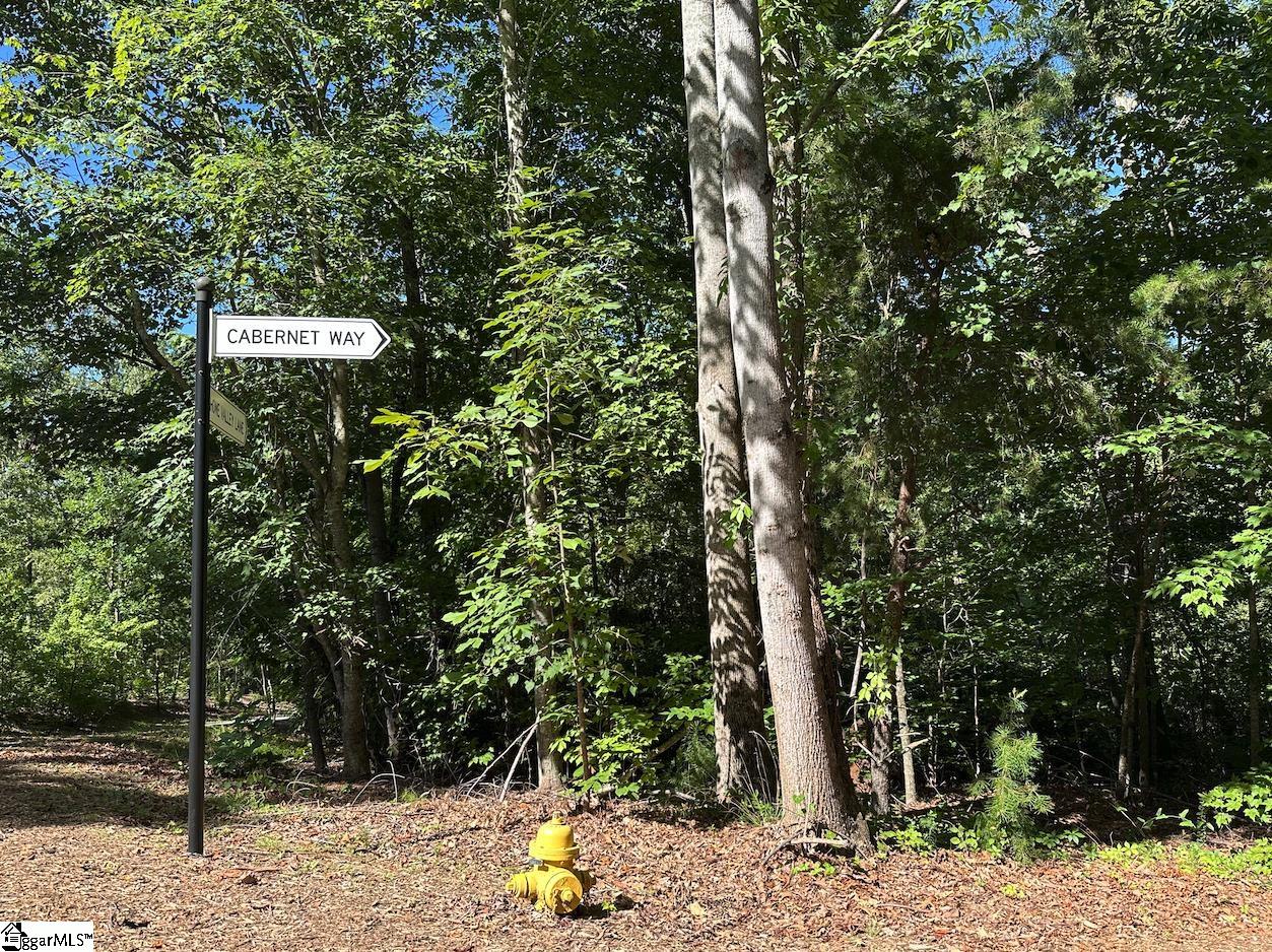 201 Cabernet Way Property Photo 1