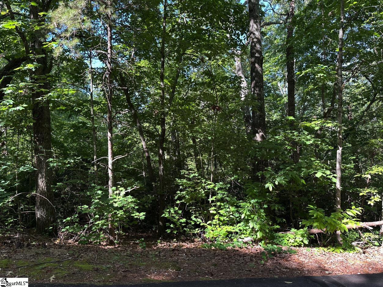 201 Cabernet Way Property Photo 3