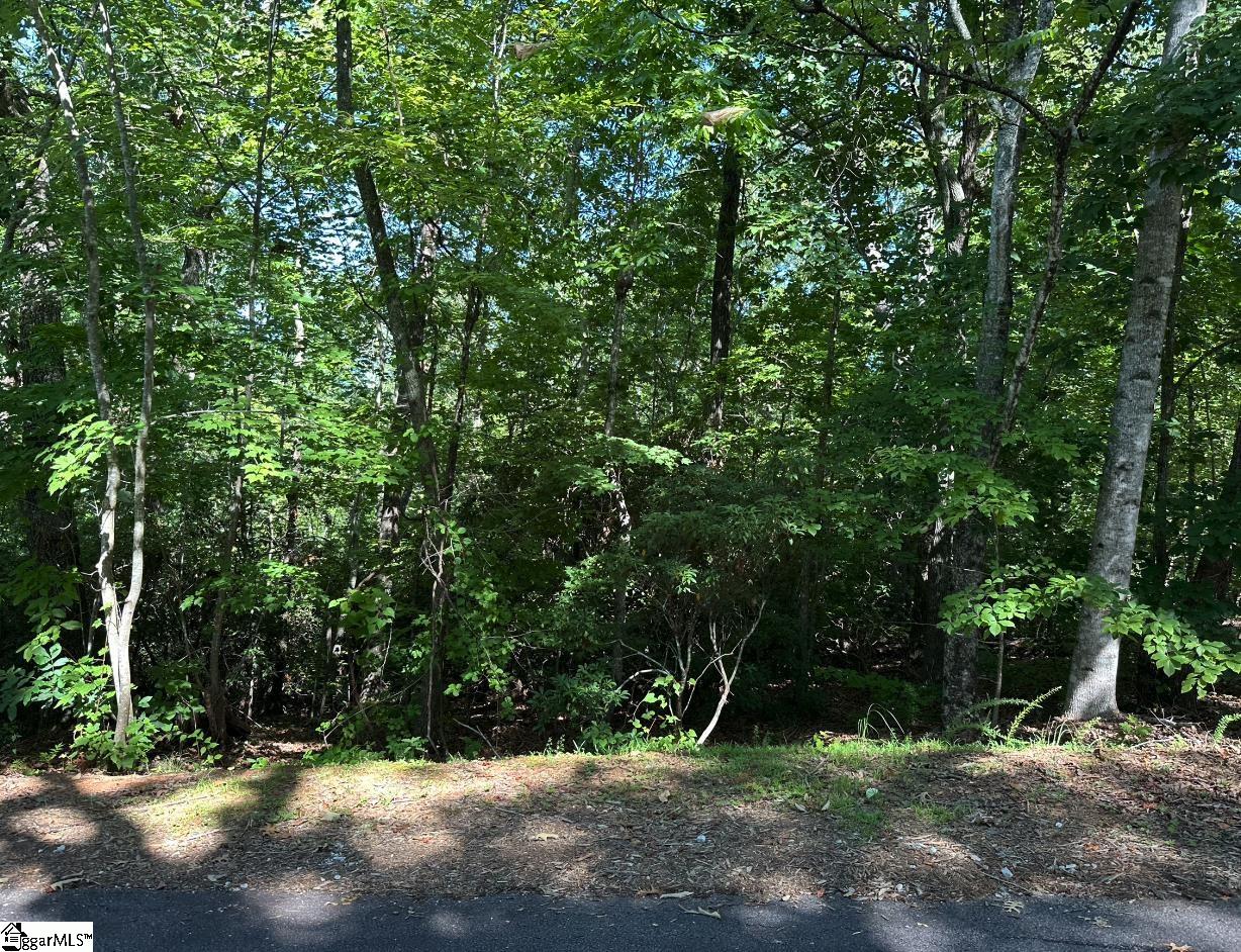 201 Cabernet Way Property Photo 4
