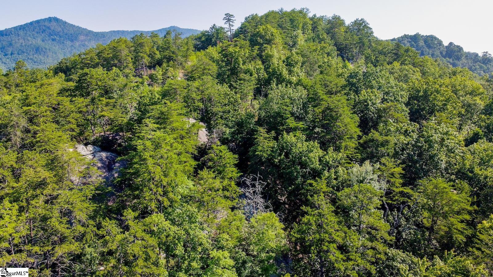 6940 Highway 11 Property Photo 6