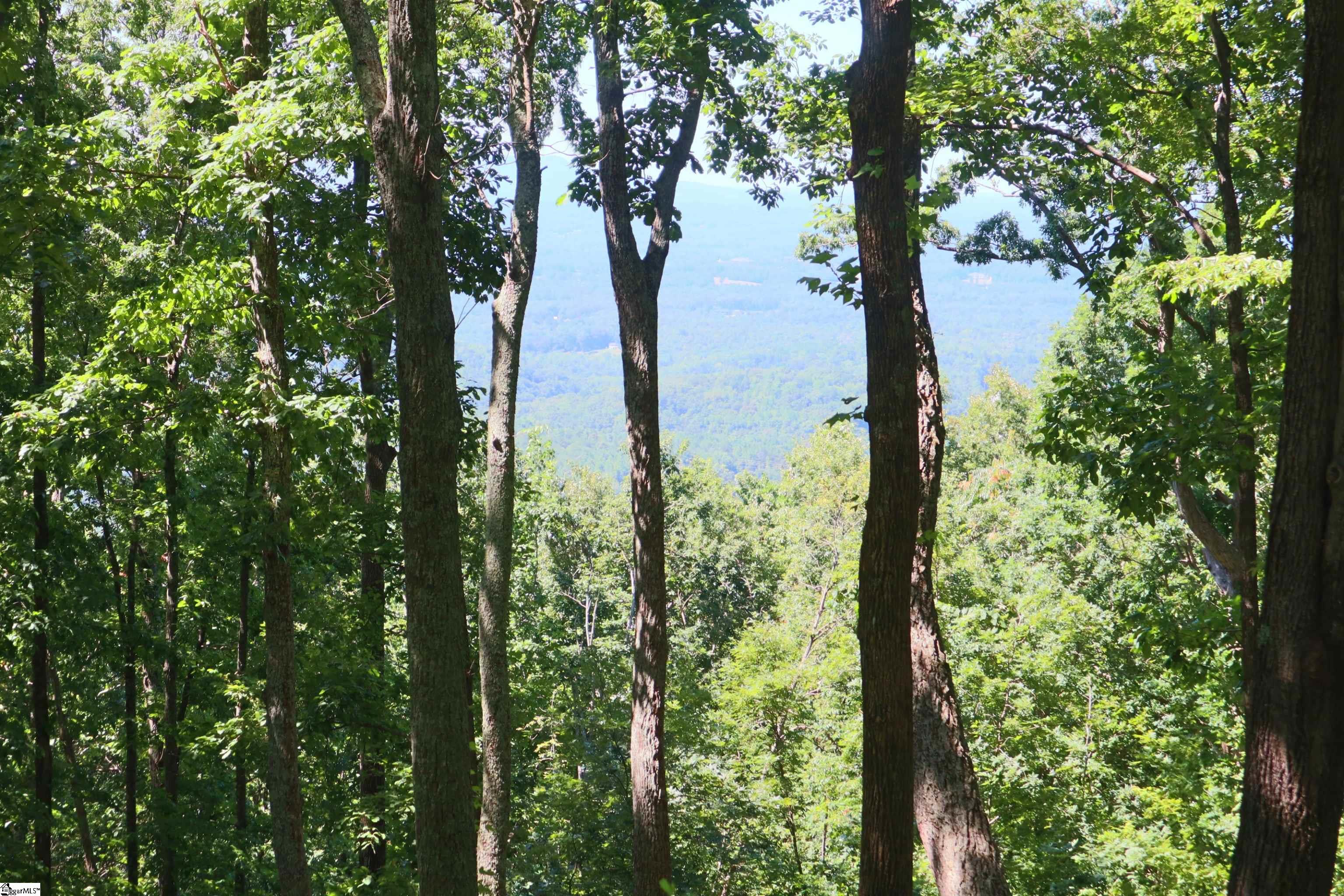 233 Southview Ledge Road Property Photo 4