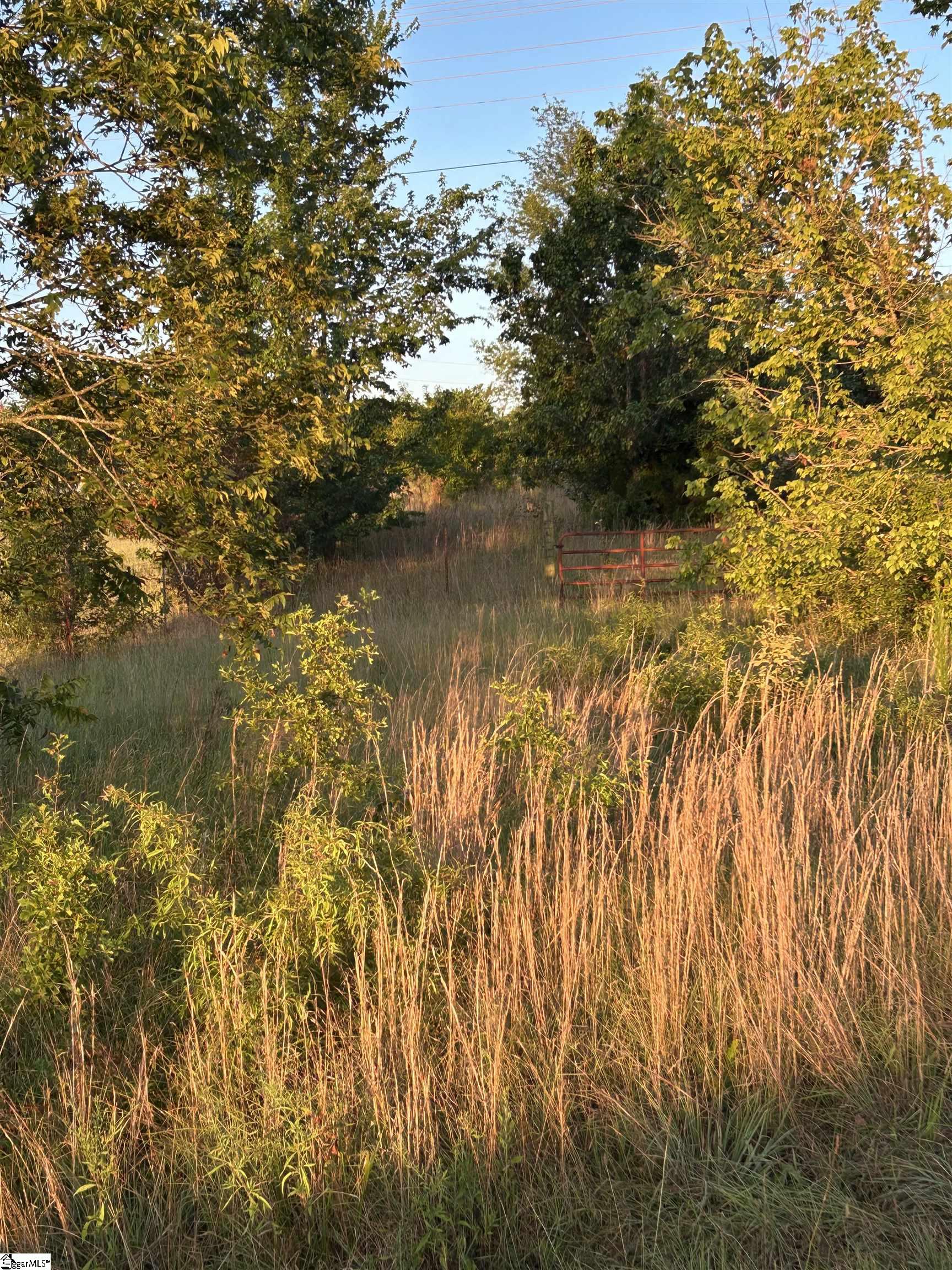 7631 Highway 11 Property Photo 5