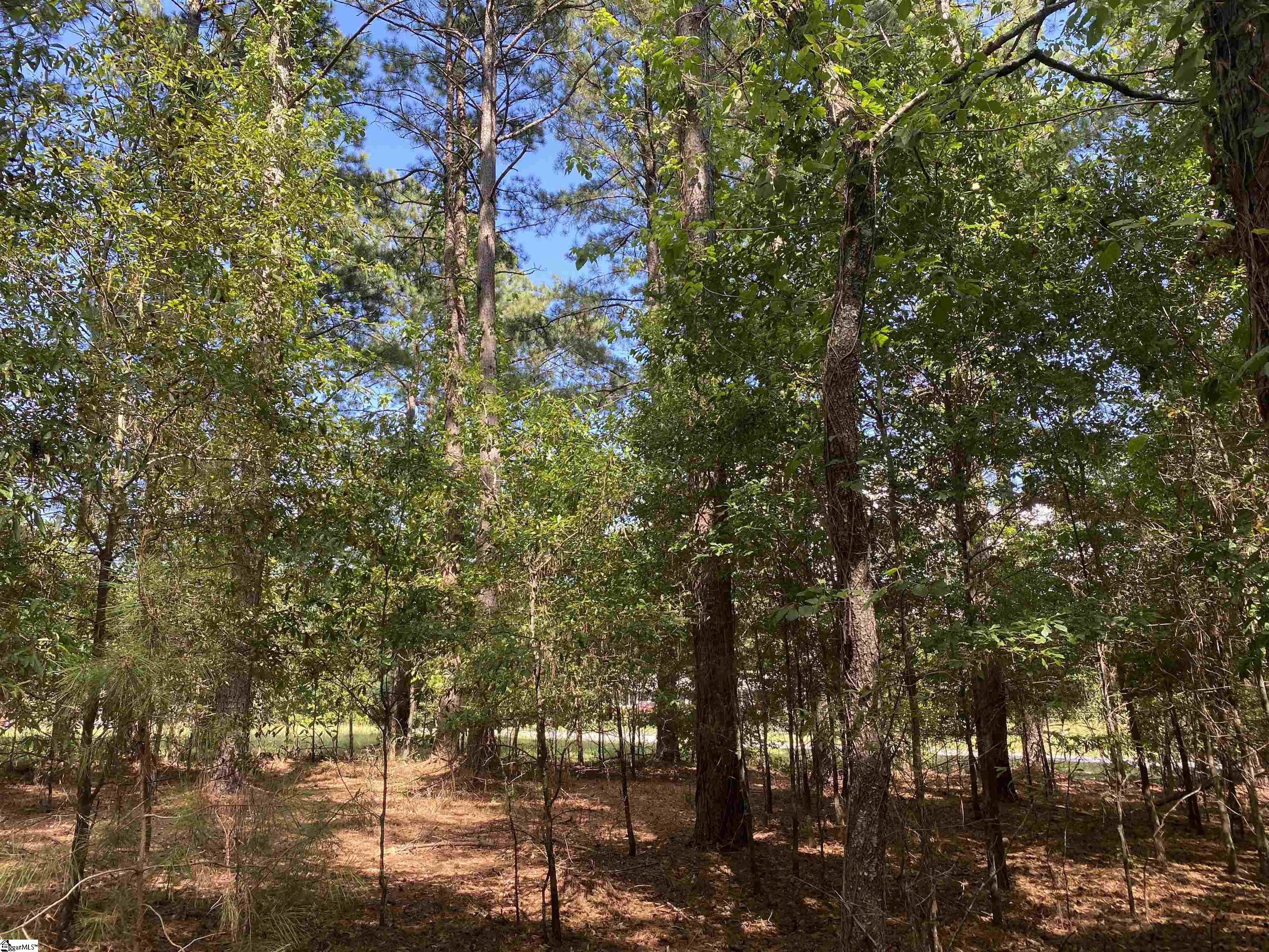 0 Sandy Springs Road Property Photo 2