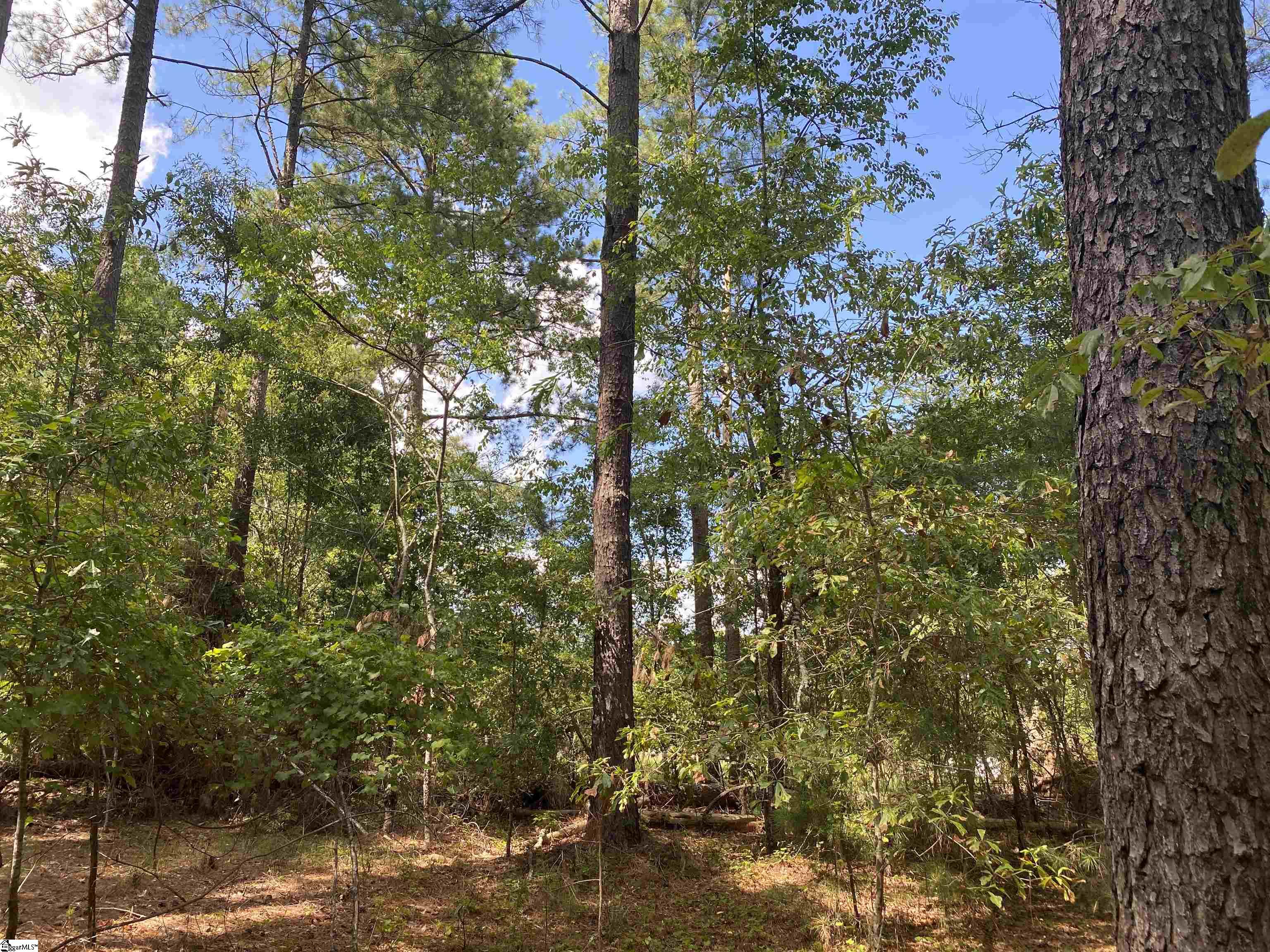 0 Sandy Springs Road Property Photo 3