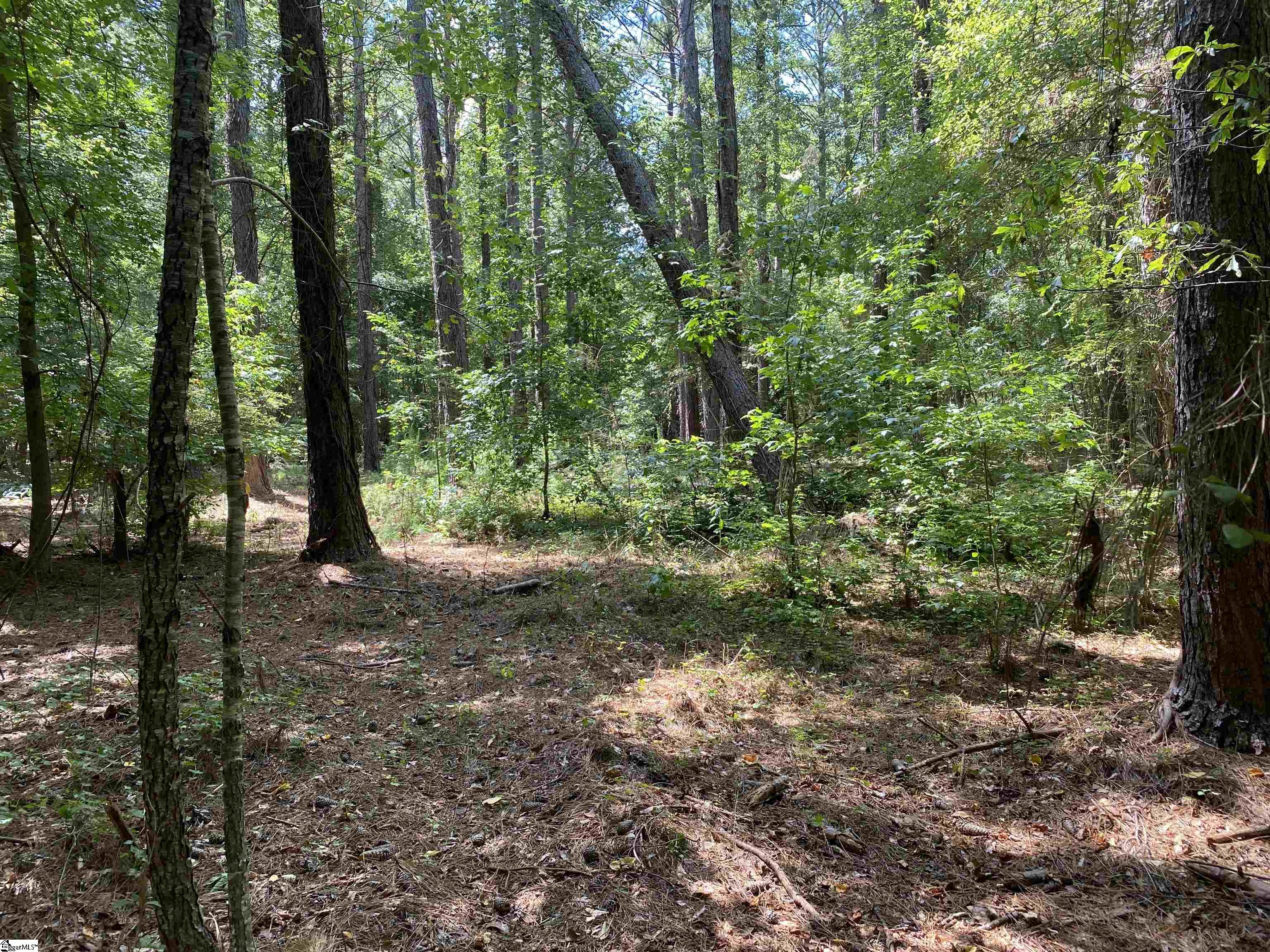 0 Sandy Springs Road Property Photo 4